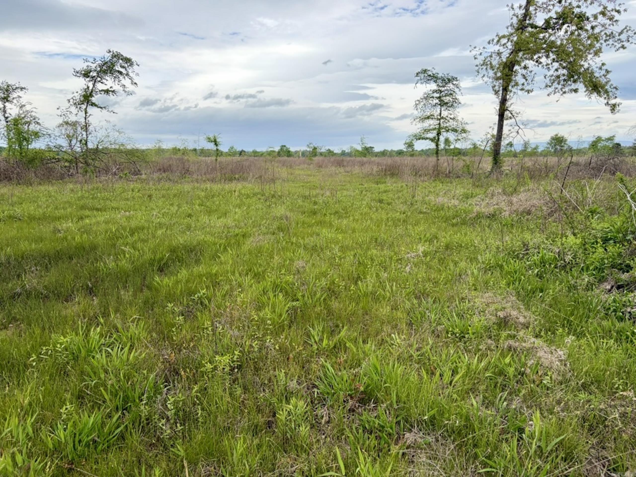 002 Drag Strip Road Property Photo 28
