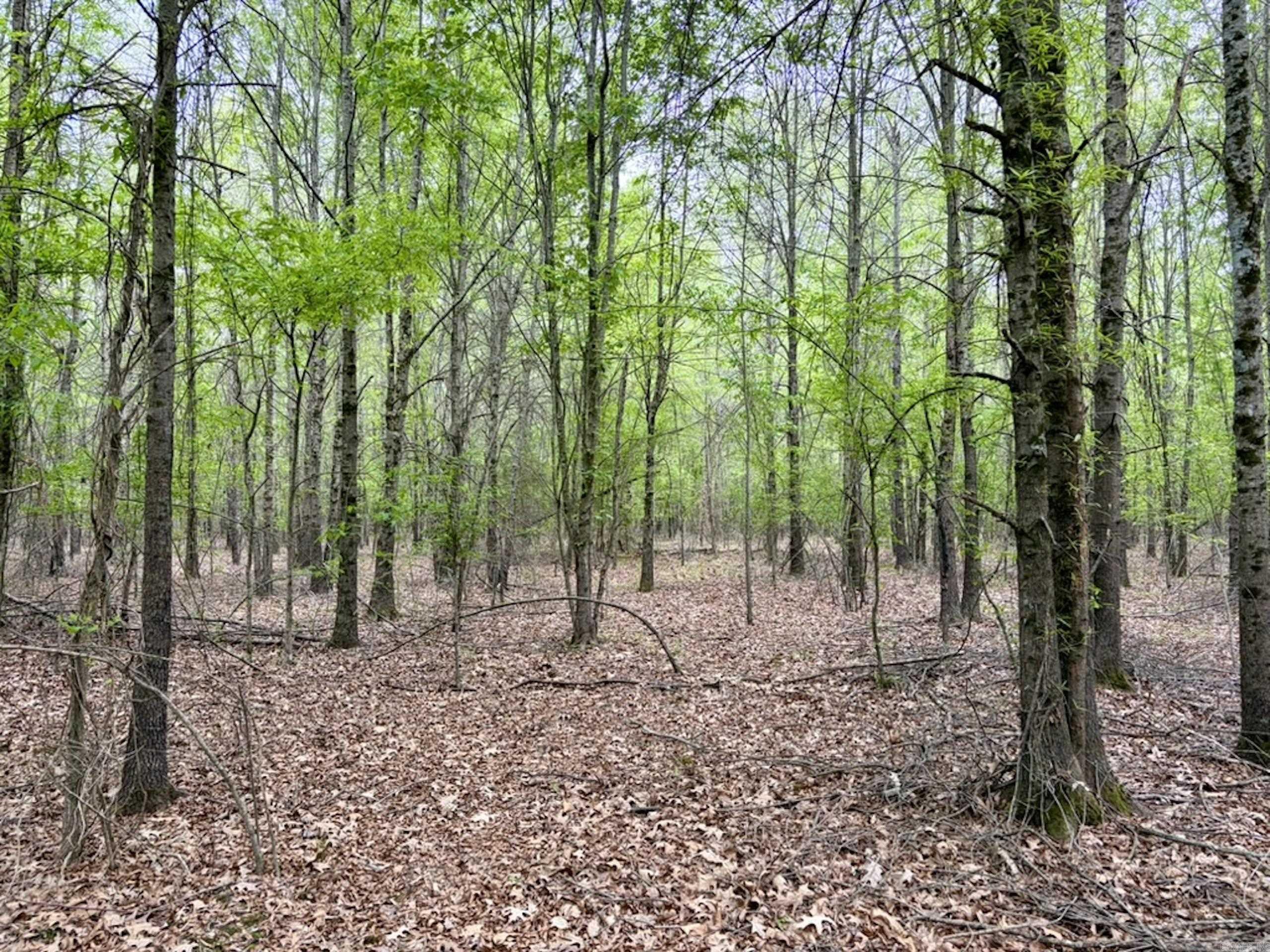002 Drag Strip Road Property Photo 34