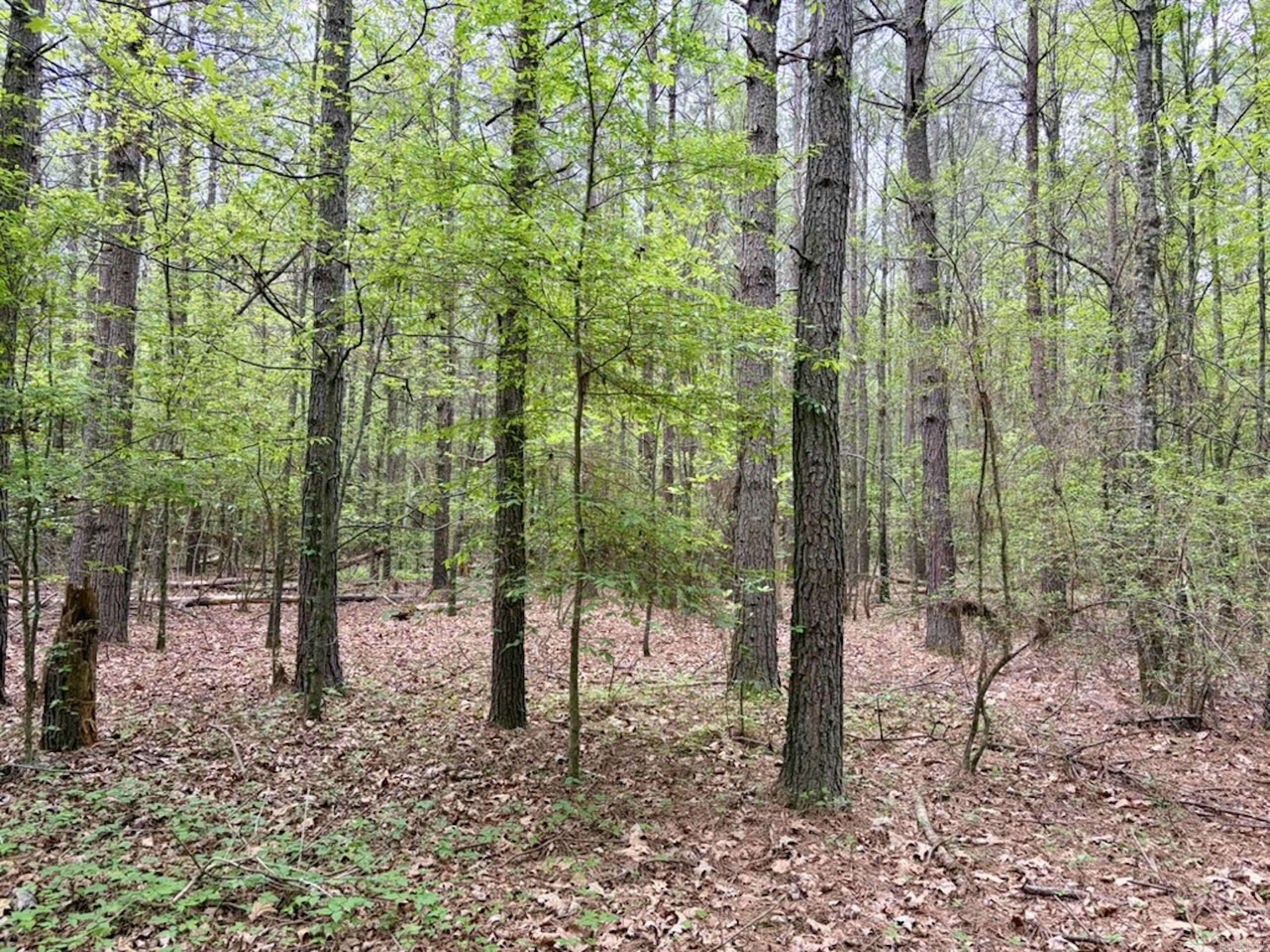 002 Drag Strip Road Property Photo 35