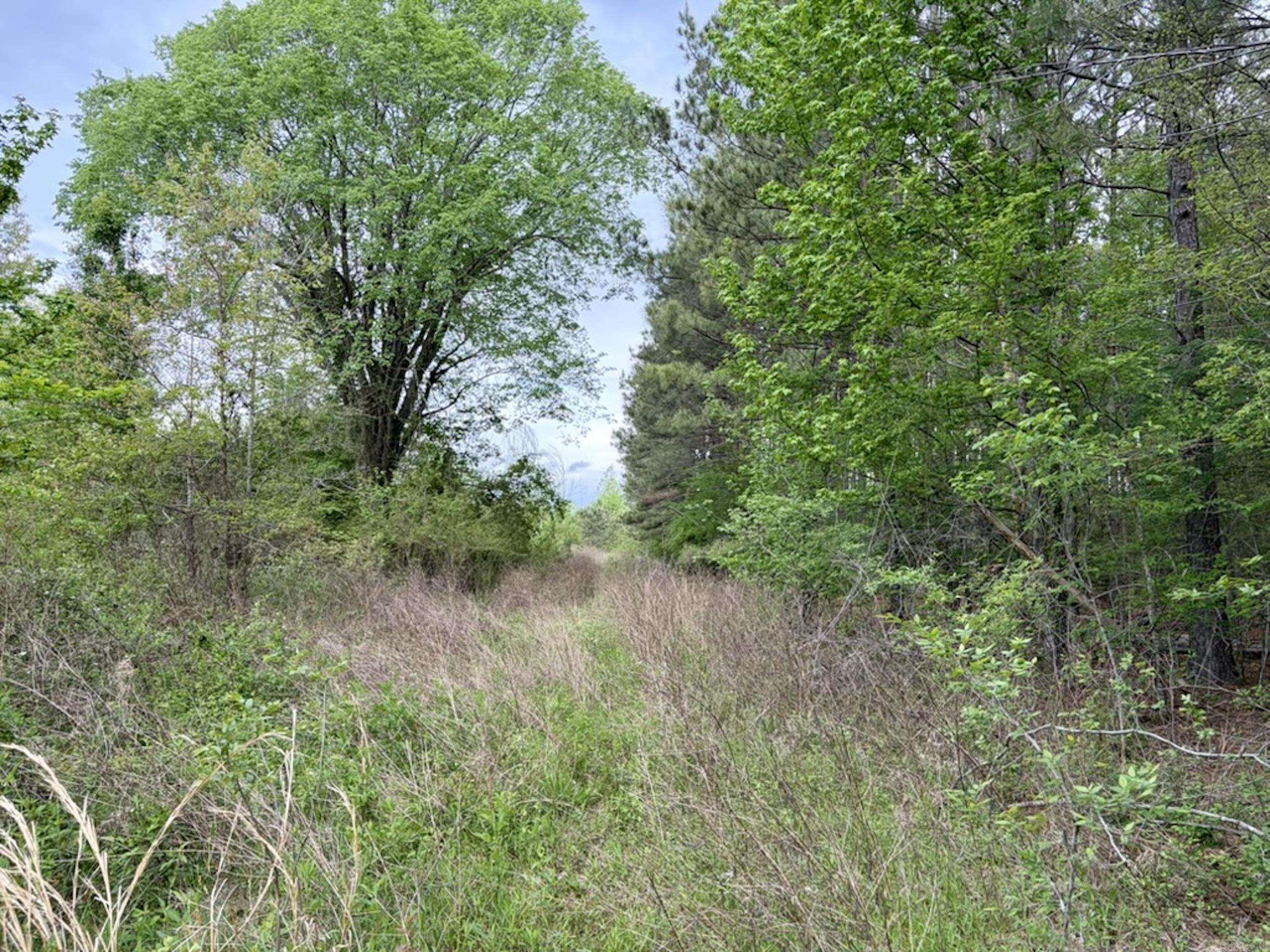 002 Drag Strip Road Property Photo 38