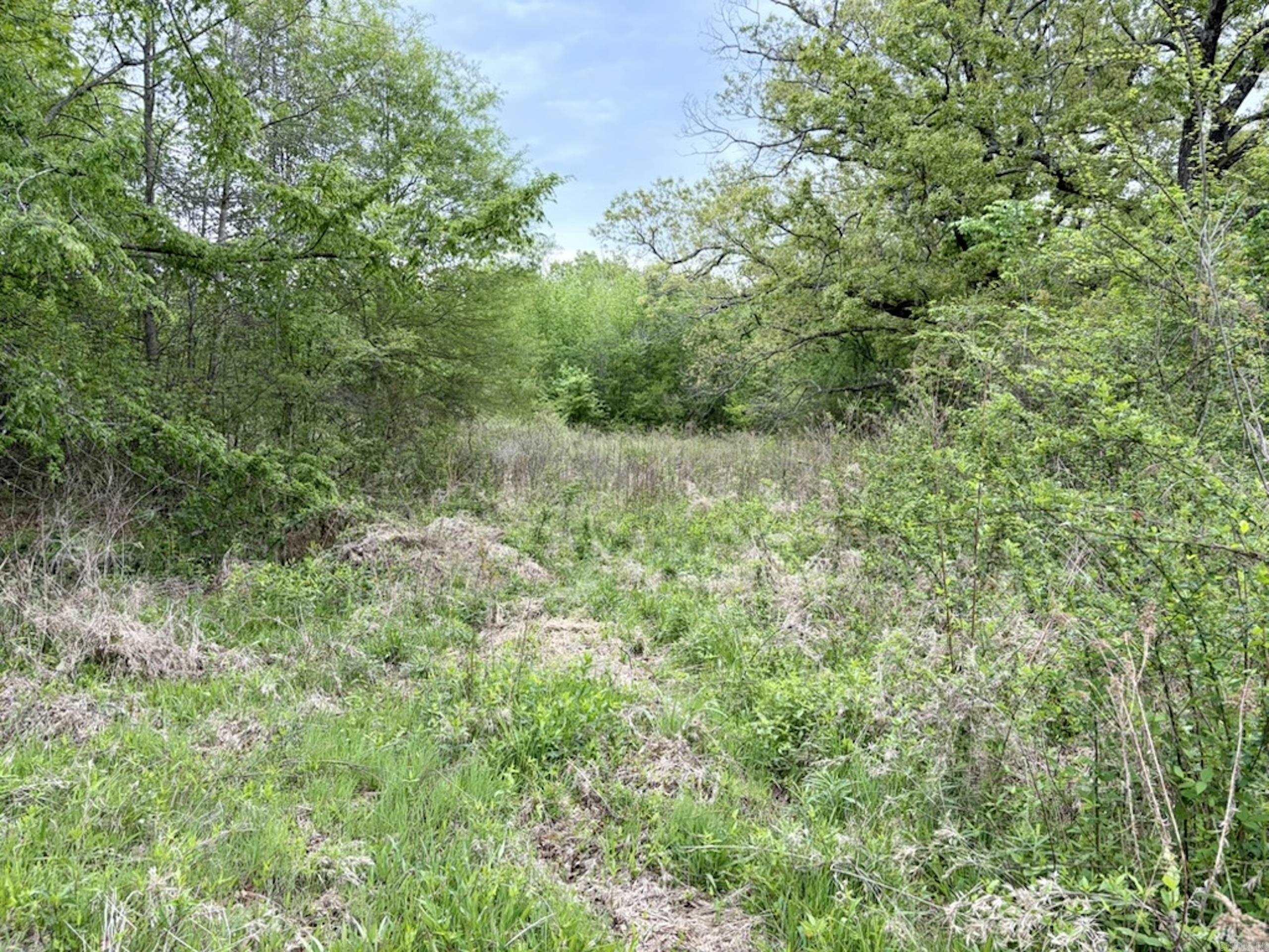 002 Drag Strip Road Property Photo 39