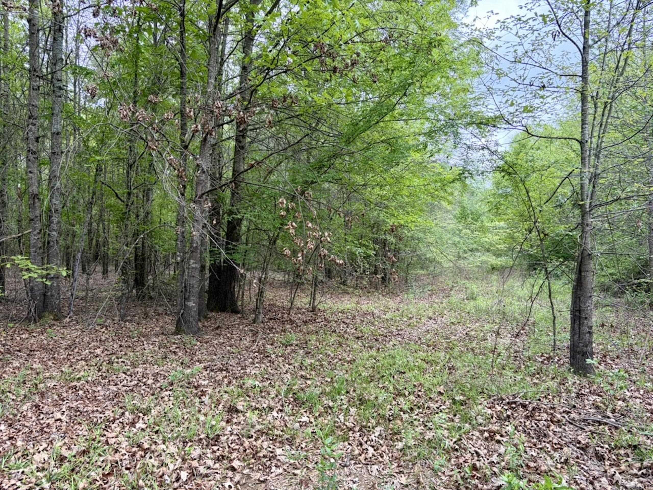 002 Drag Strip Road Property Photo 42