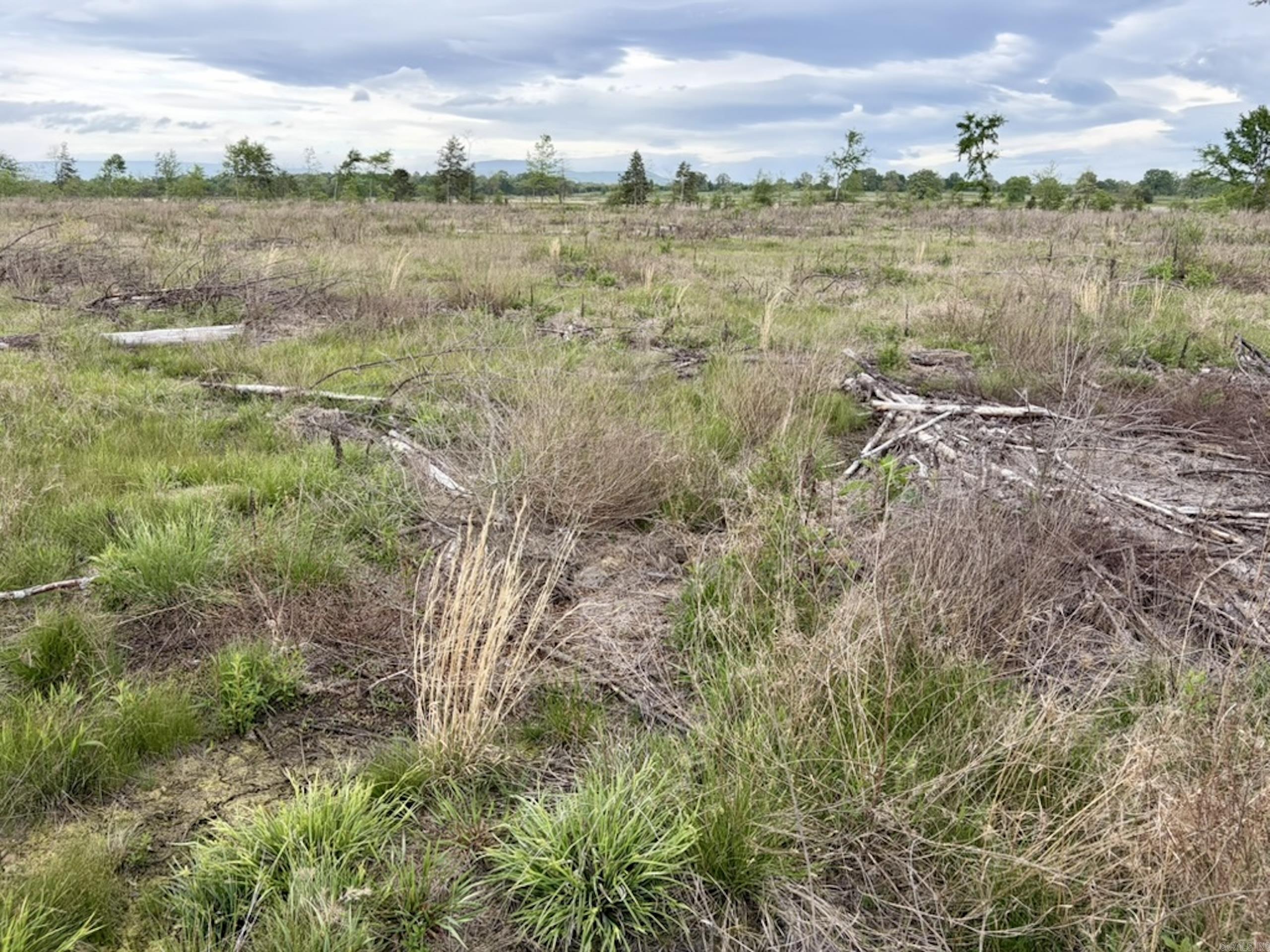 002 Drag Strip Road Property Photo 43
