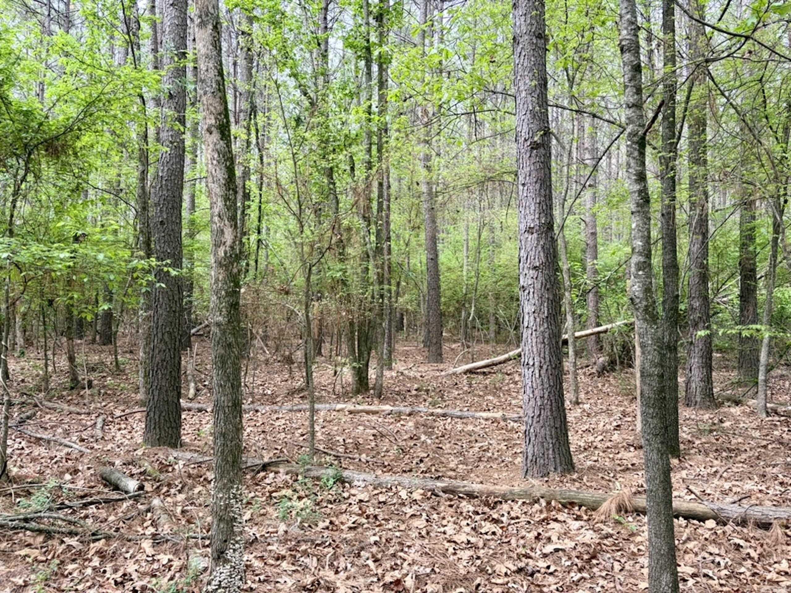 002 Drag Strip Road Property Photo 44
