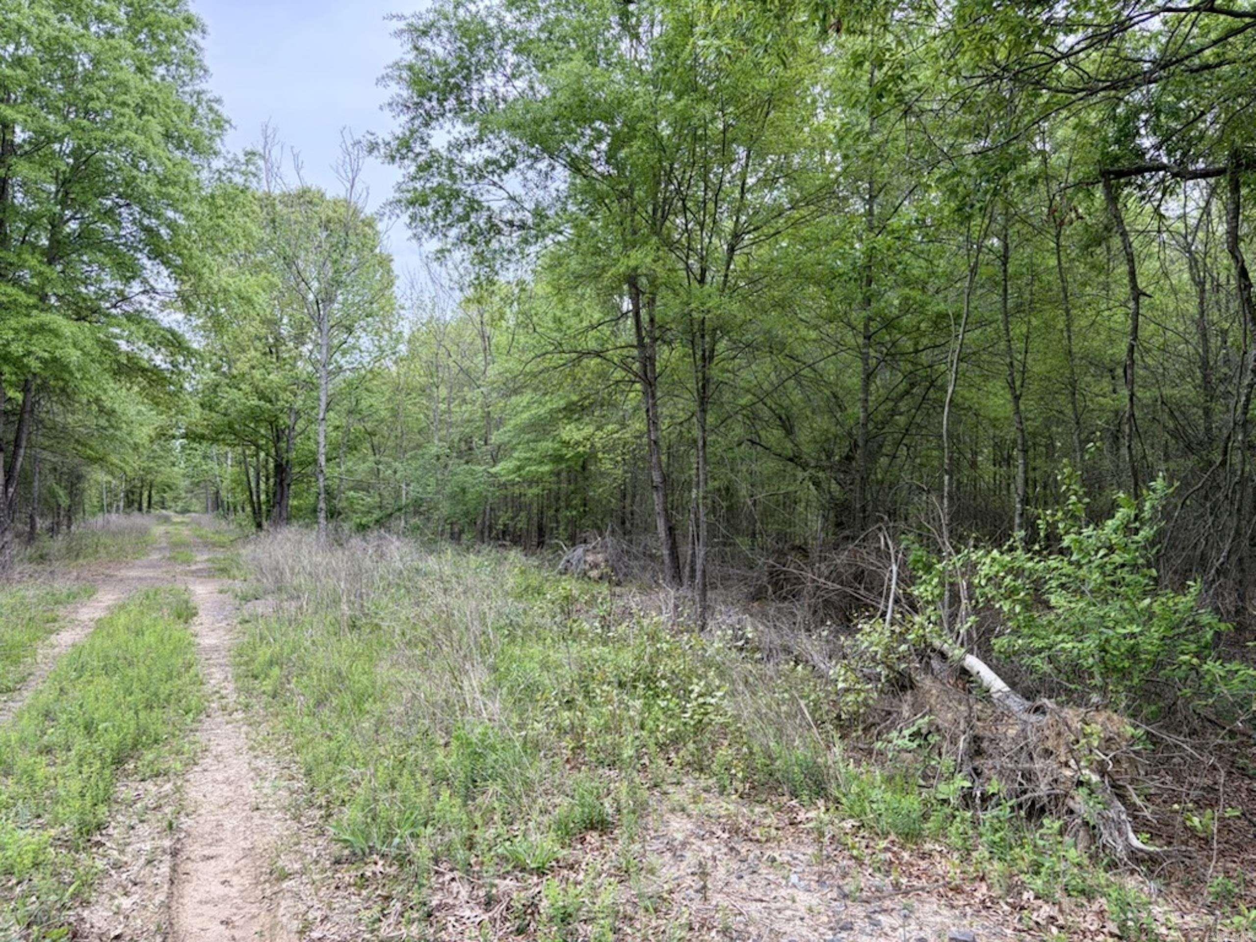 002 Drag Strip Road Property Photo 45