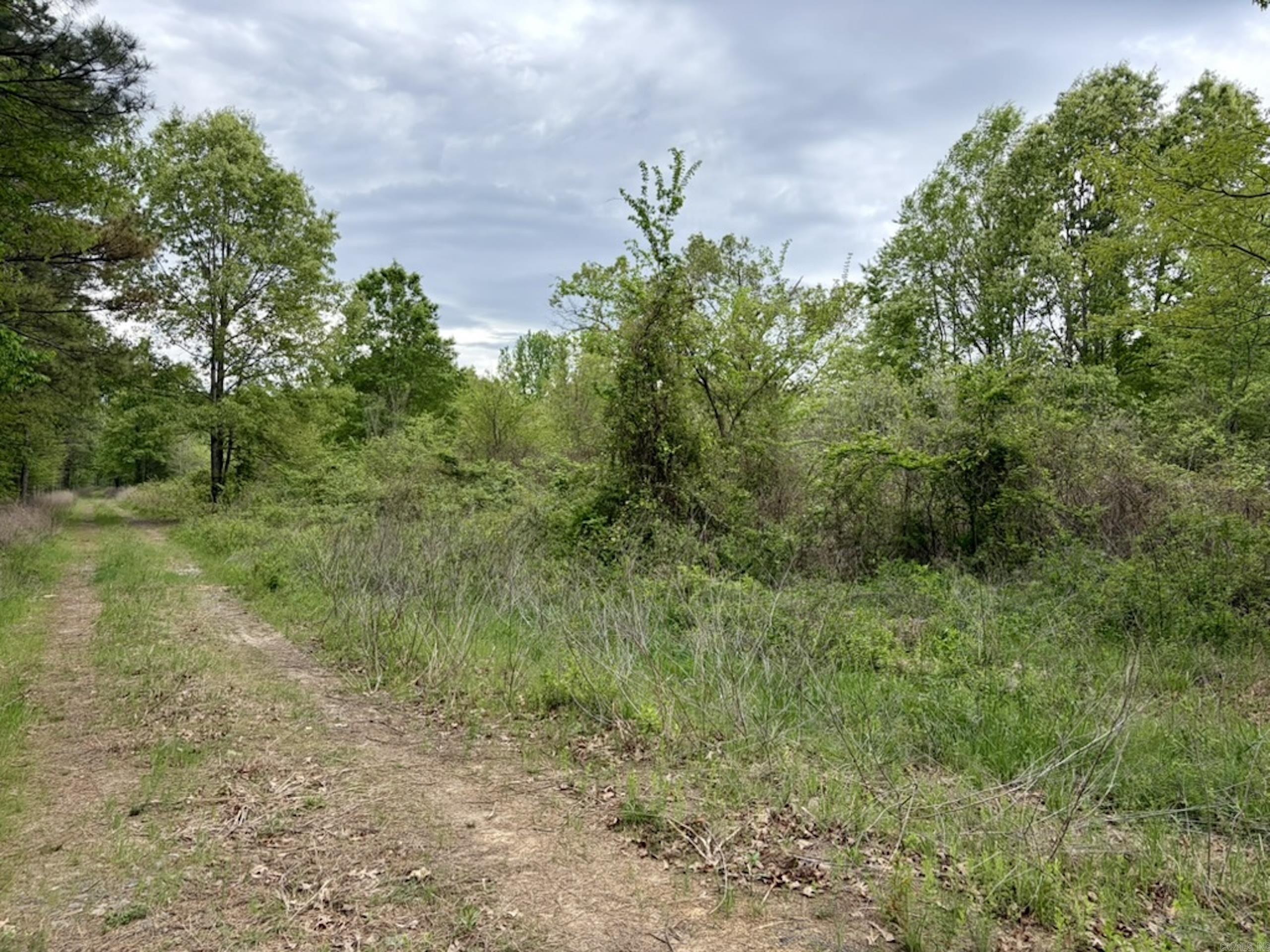 002 Drag Strip Road Property Photo 46