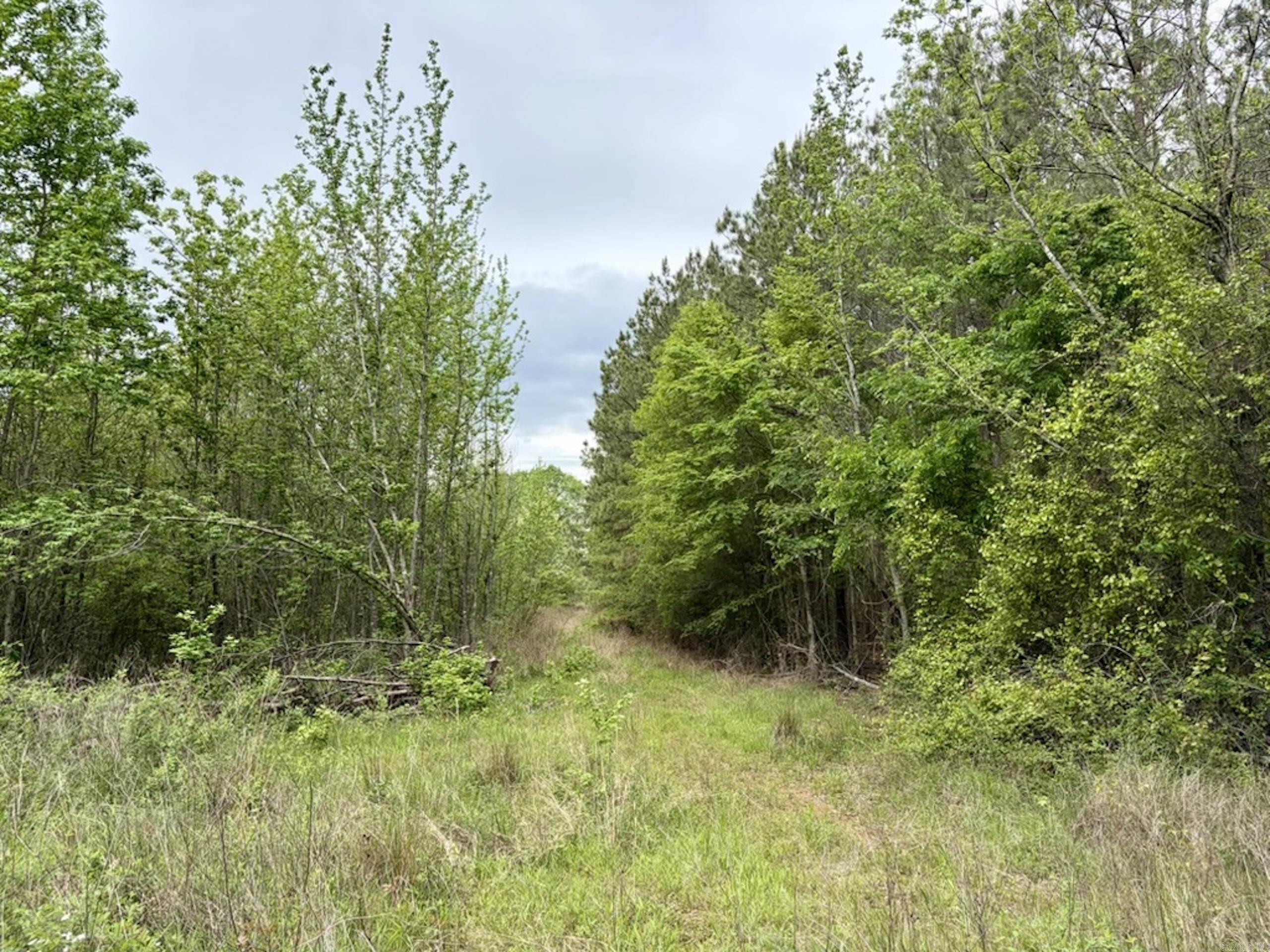 002 Drag Strip Road Property Photo 47