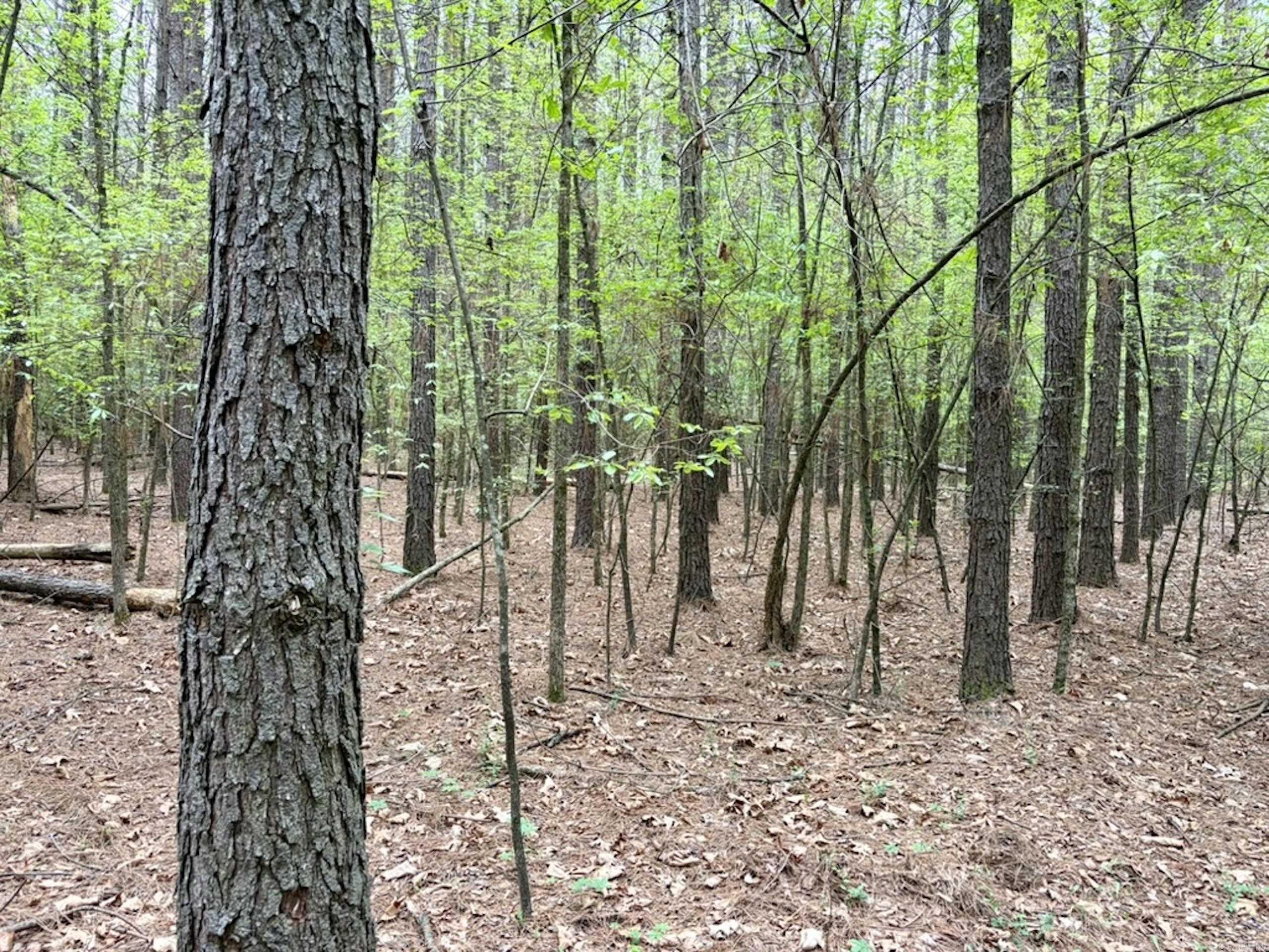 003 Drag Strip Road Property Photo 3
