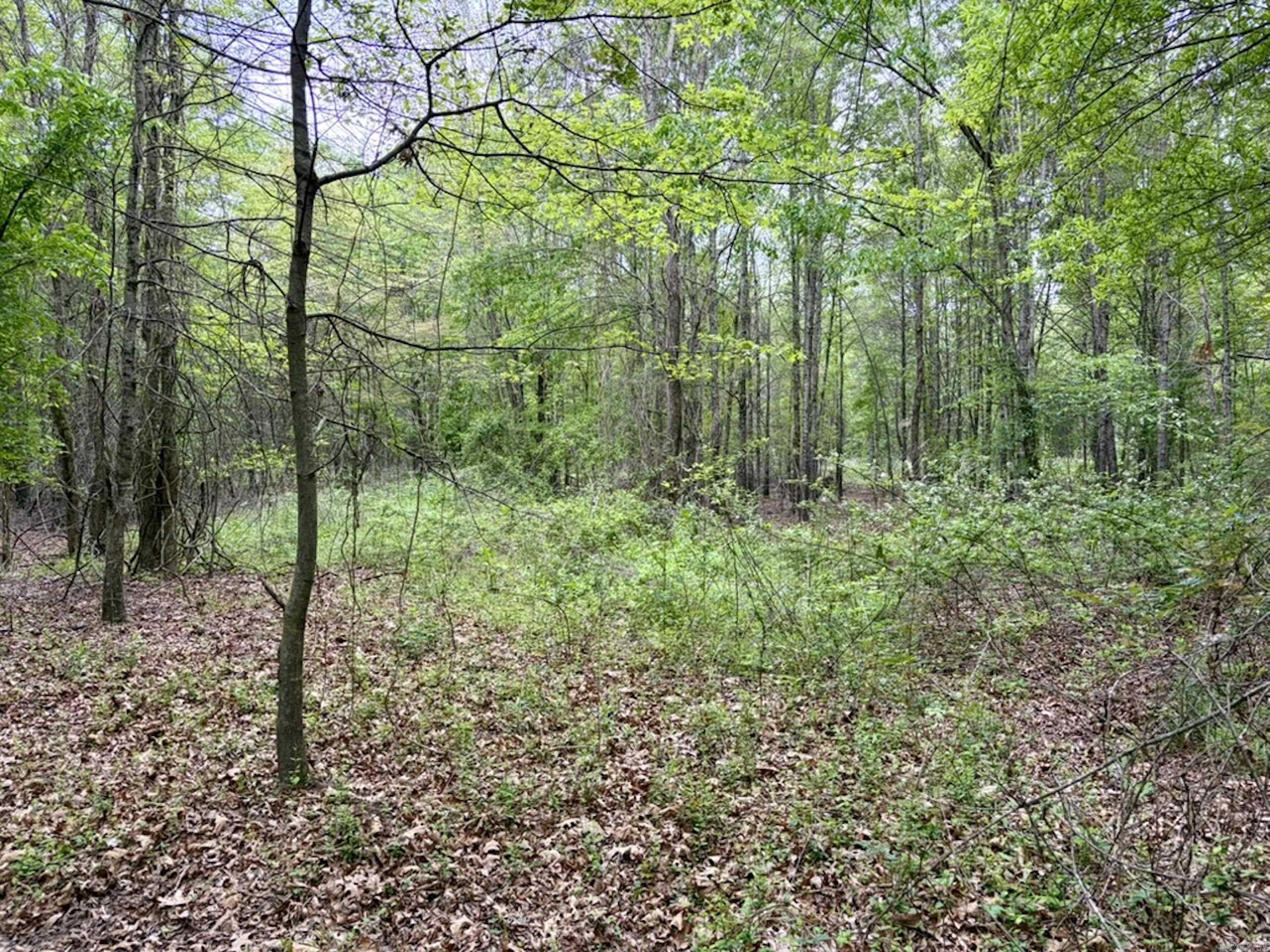 003 Drag Strip Road Property Photo 14