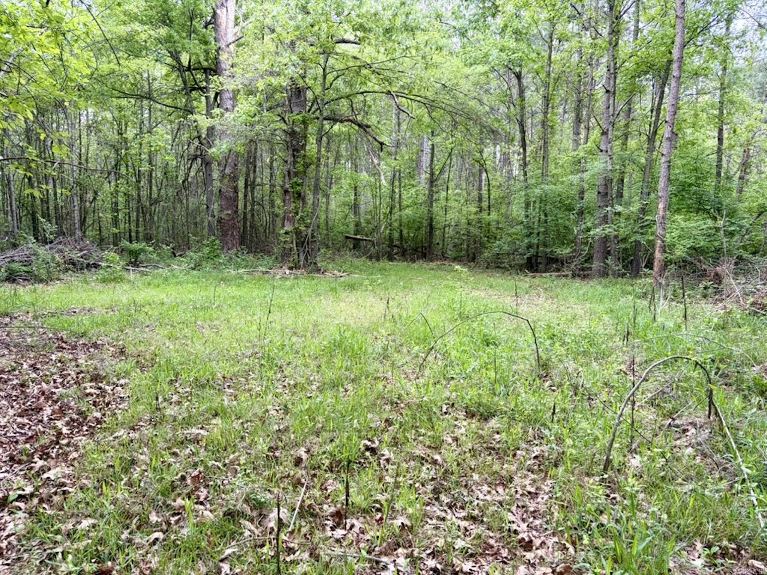 003 Drag Strip Road Property Photo 15