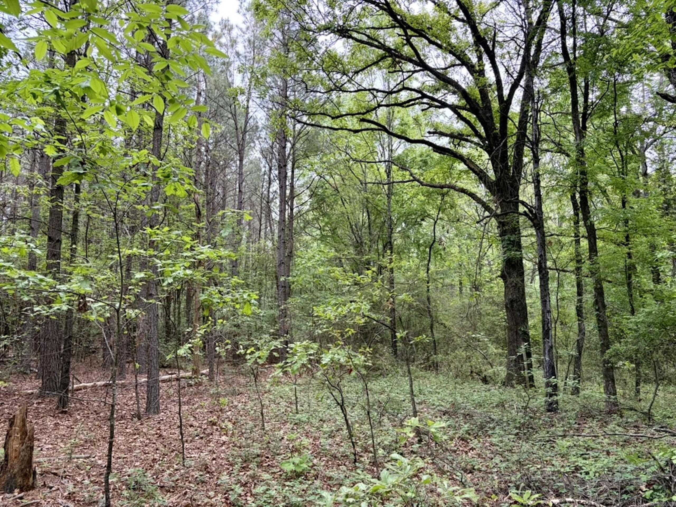 003 Drag Strip Road Property Photo 16