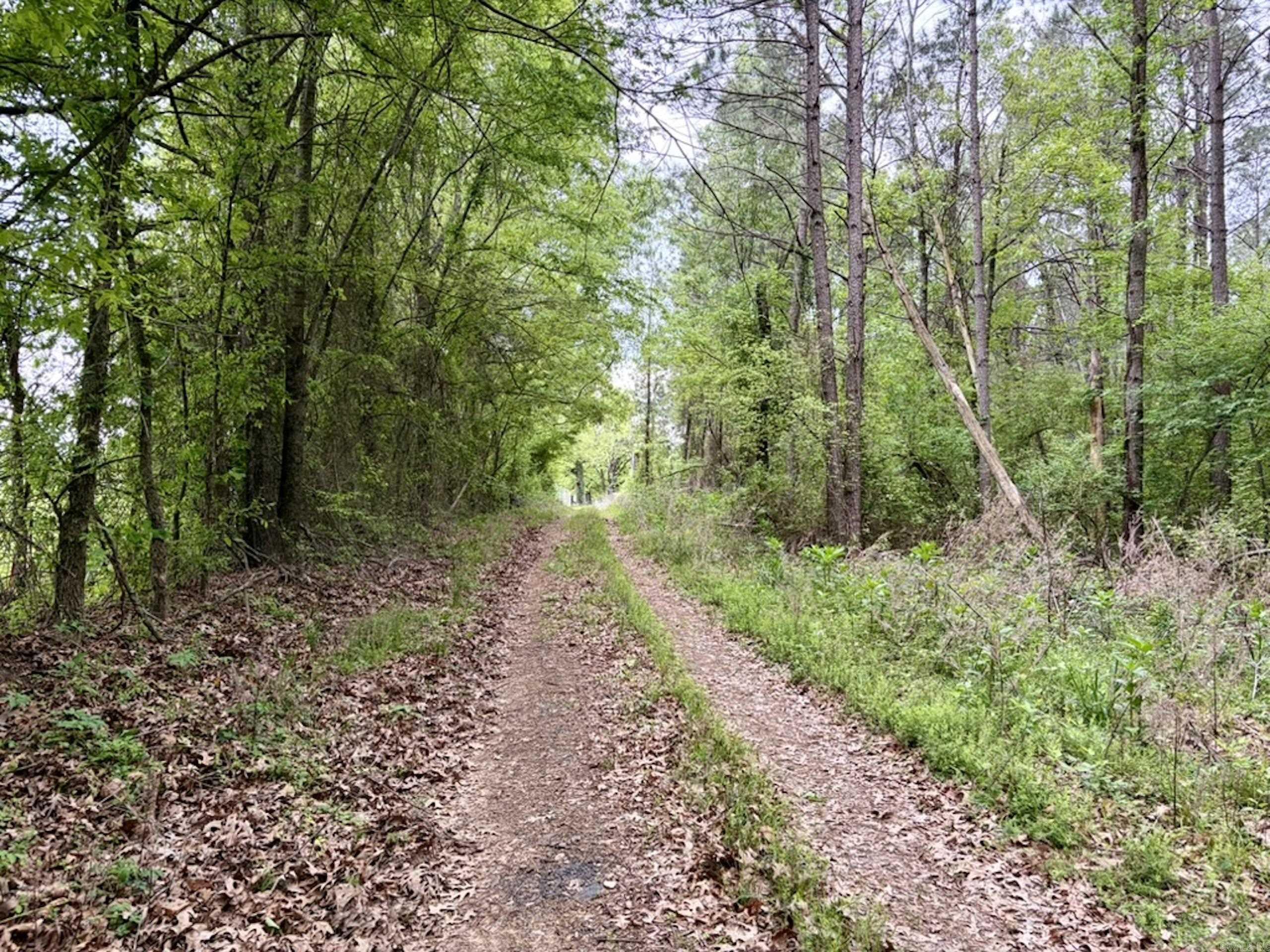 003 Drag Strip Road Property Photo 21