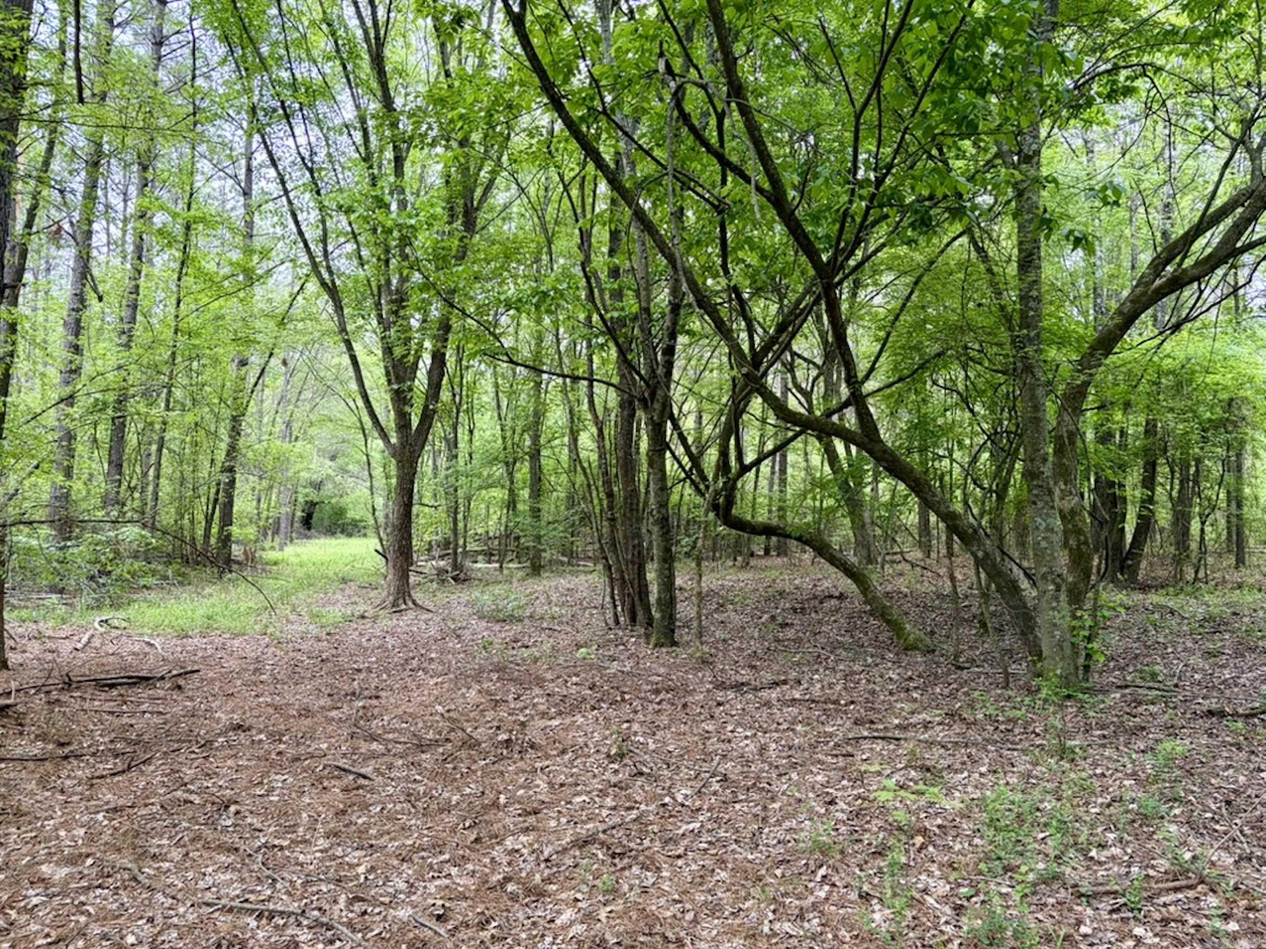 003 Drag Strip Road Property Photo 23