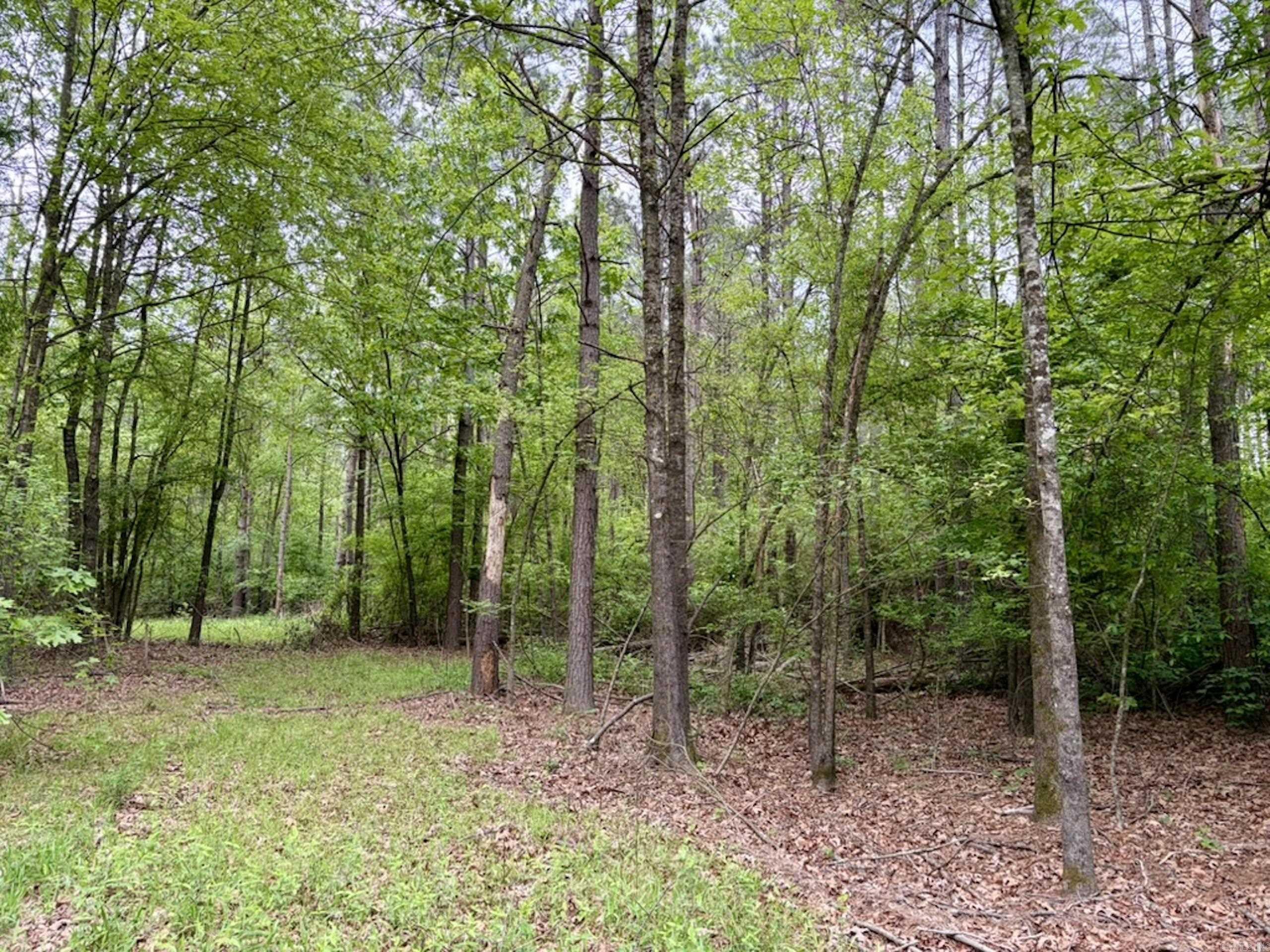 003 Drag Strip Road Property Photo 26