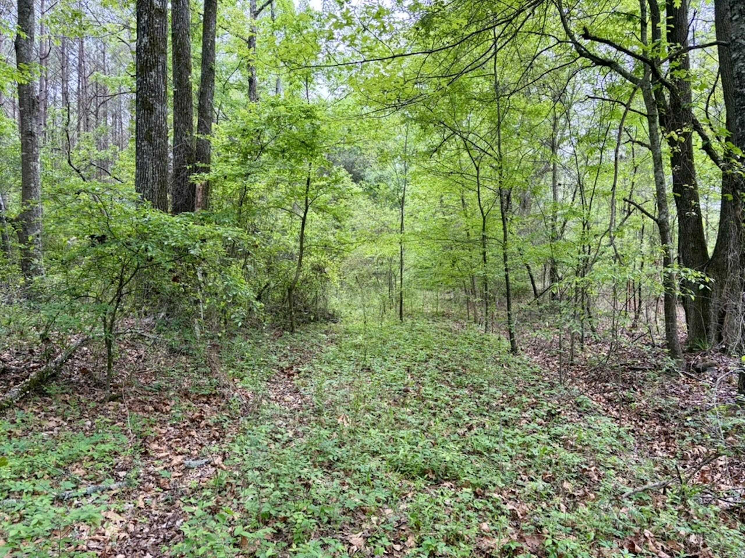 003 Drag Strip Road Property Photo 27