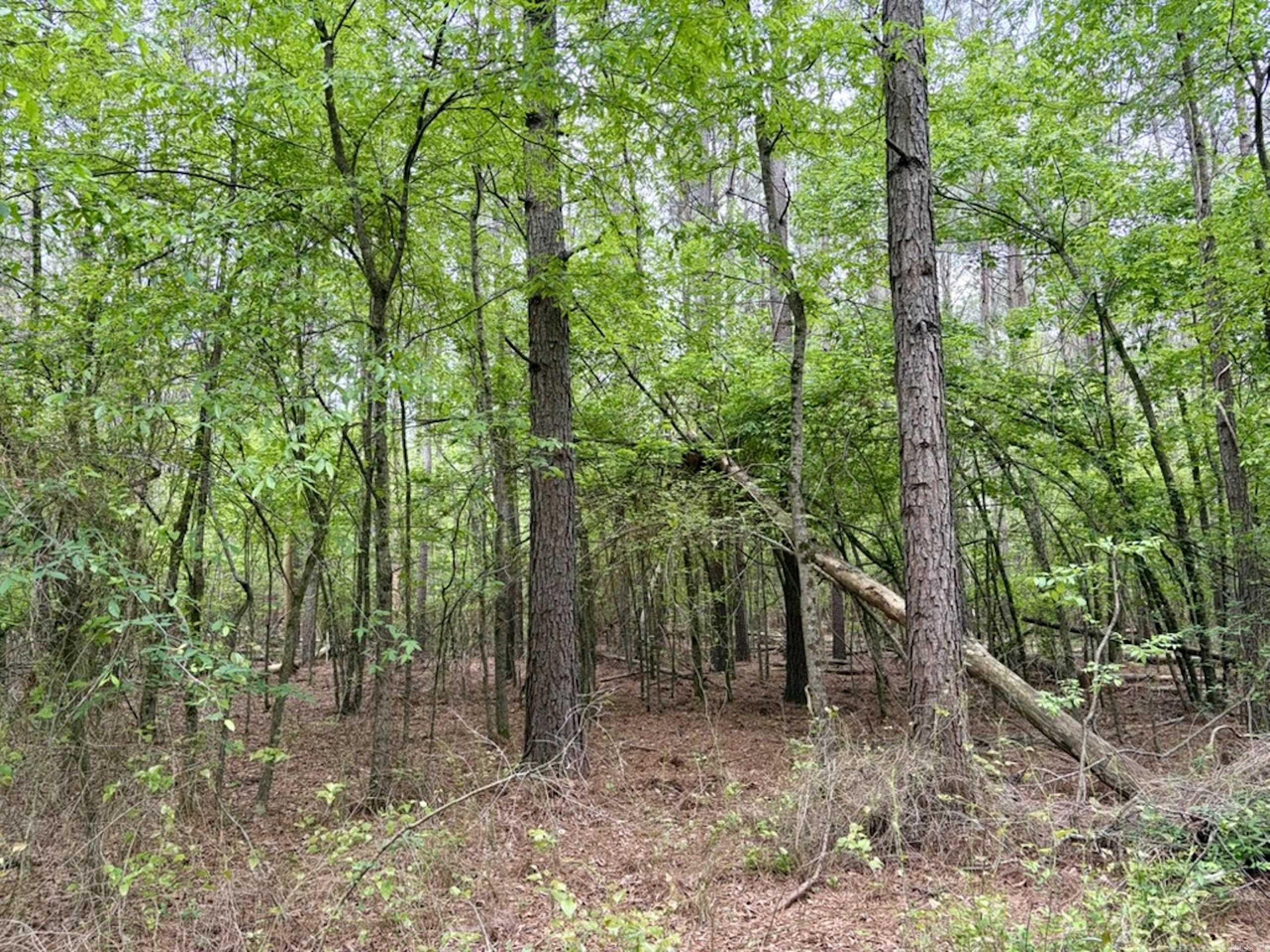 003 Drag Strip Road Property Photo 28