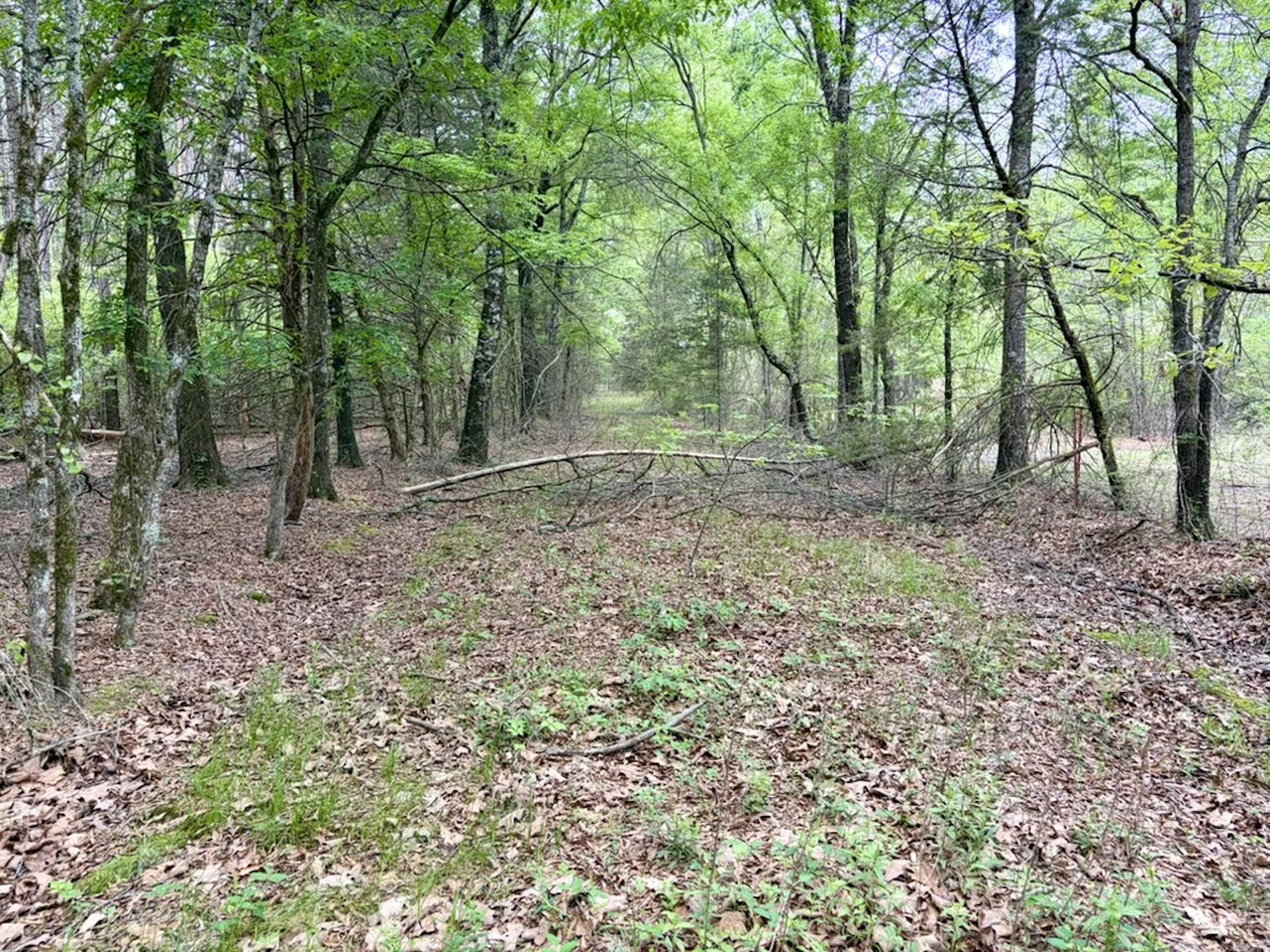 003 Drag Strip Road Property Photo 32