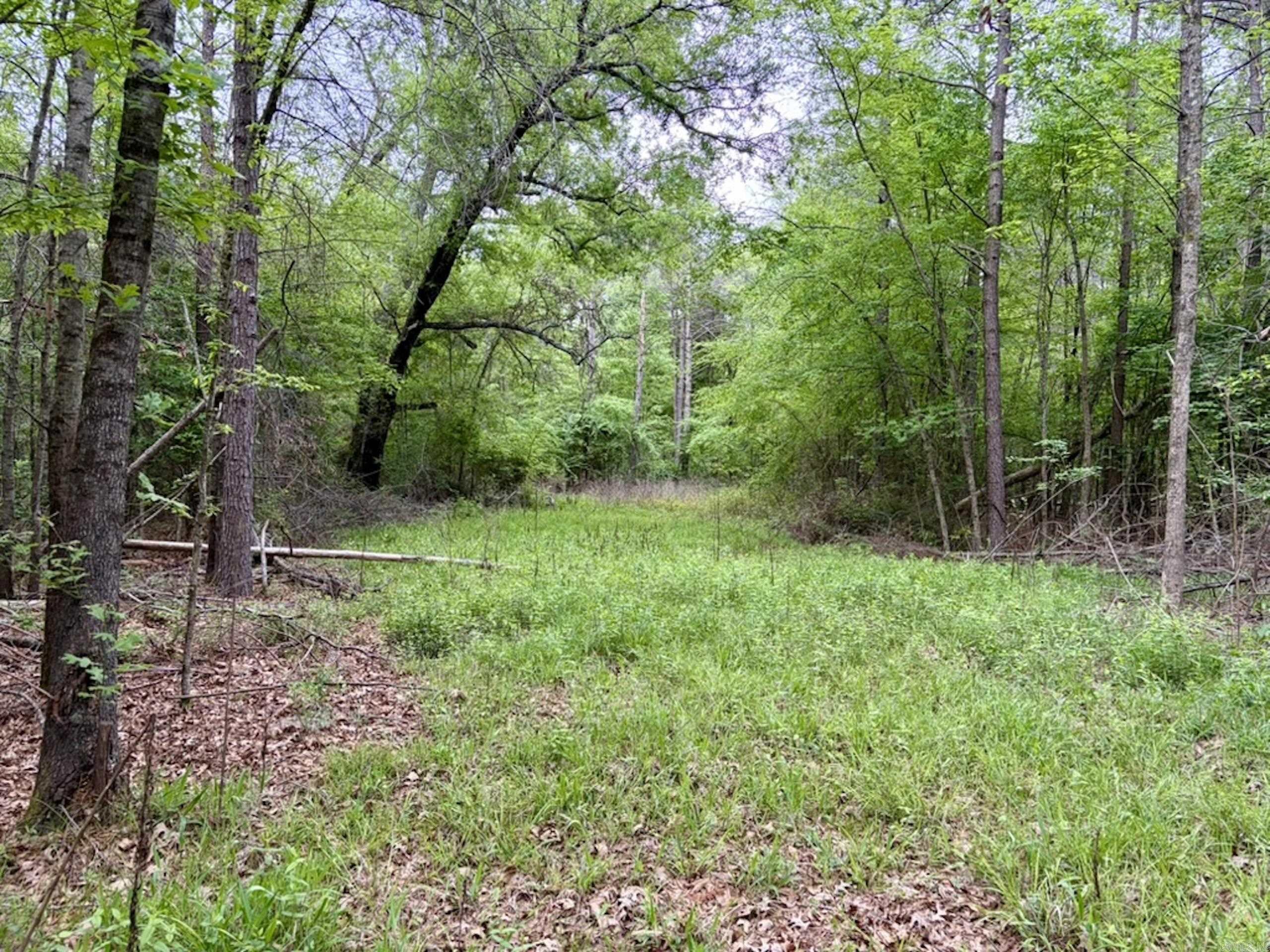 003 Drag Strip Road Property Photo 34