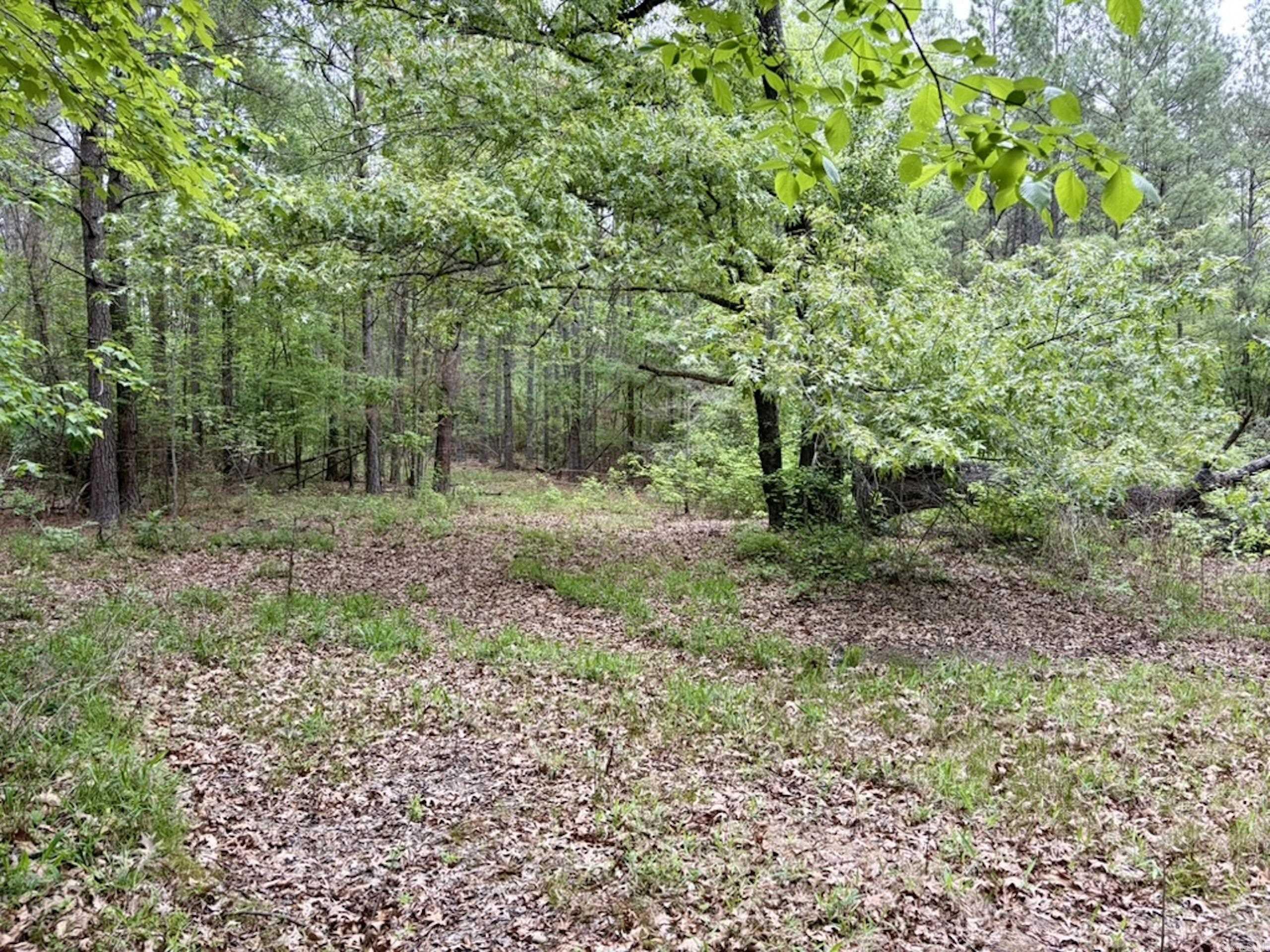 003 Drag Strip Road Property Photo 35