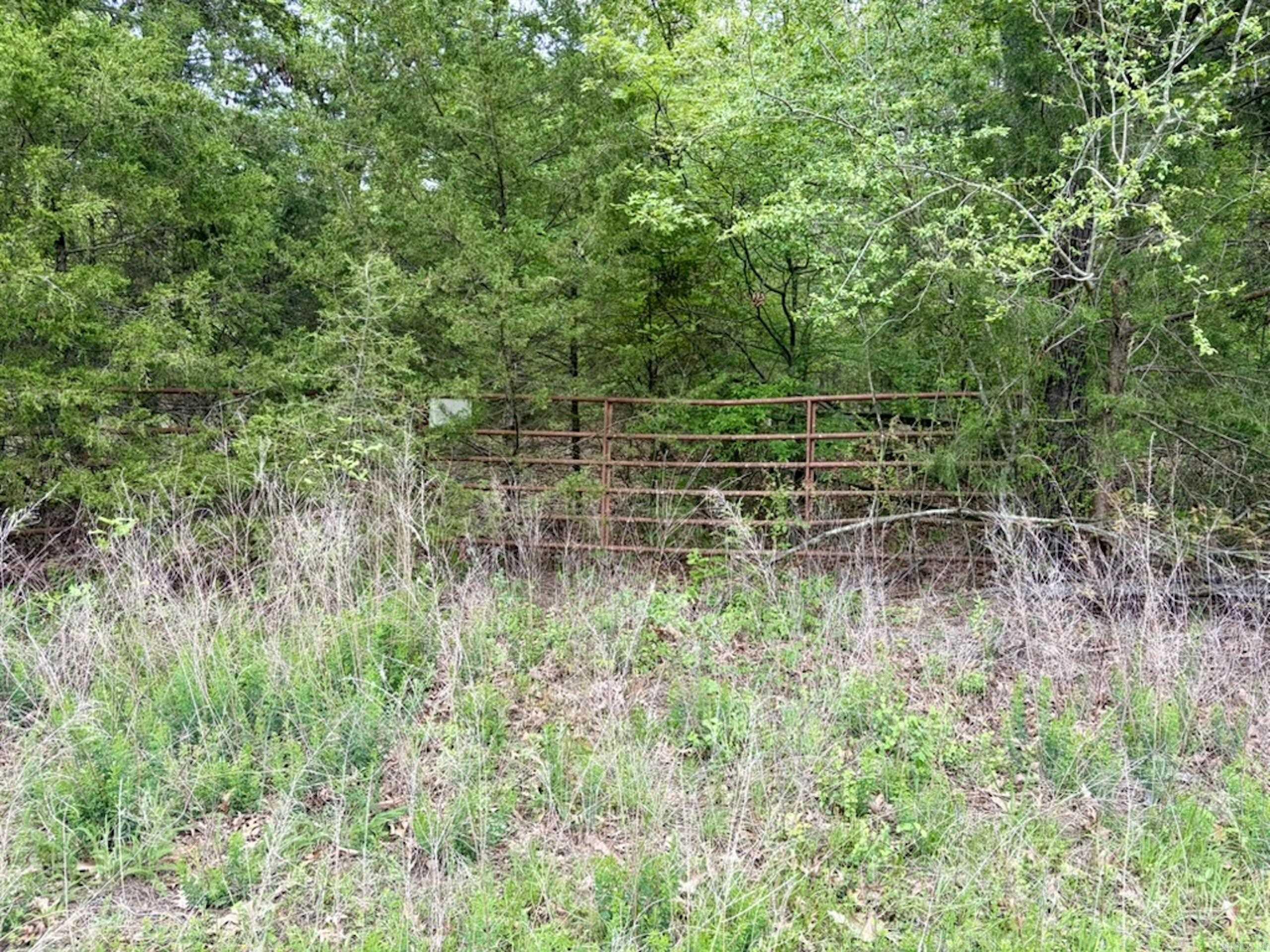 003 Drag Strip Road Property Photo 37