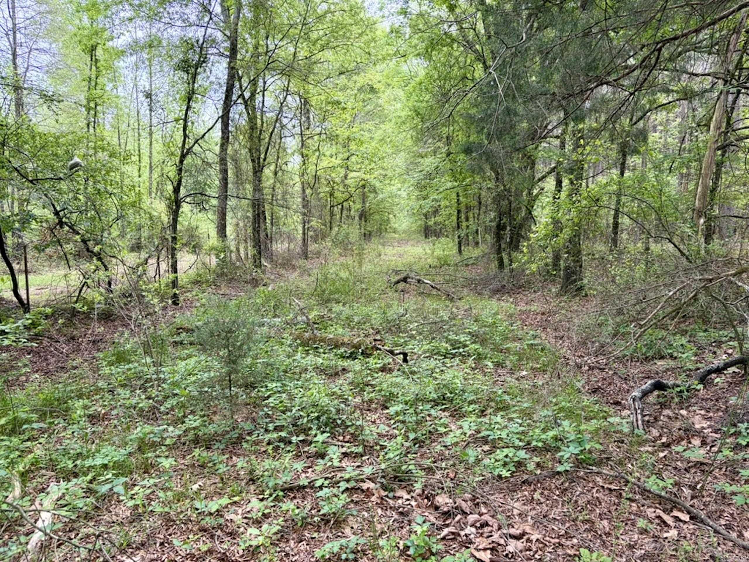 003 Drag Strip Road Property Photo 38