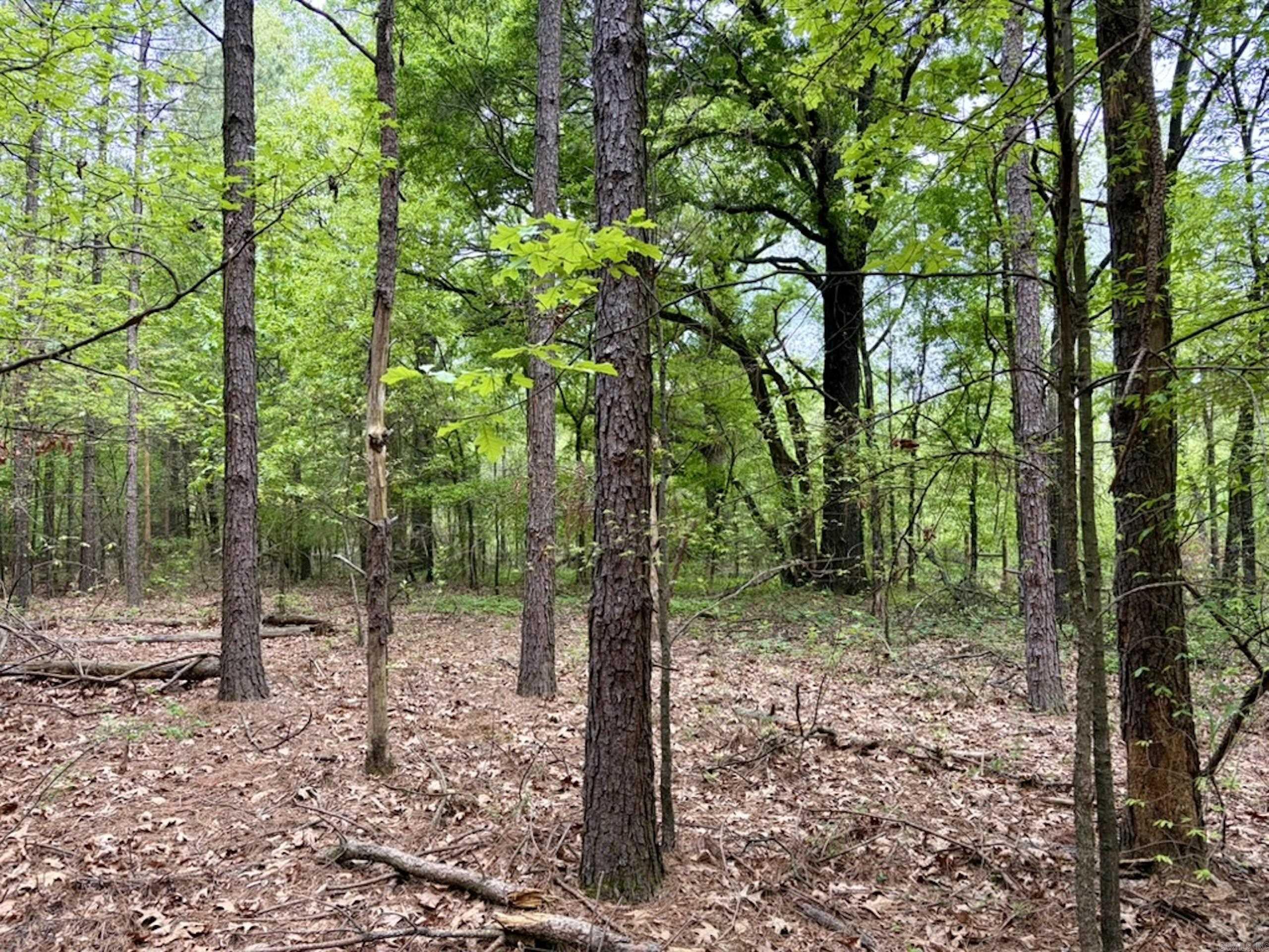 003 Drag Strip Road Property Photo 40