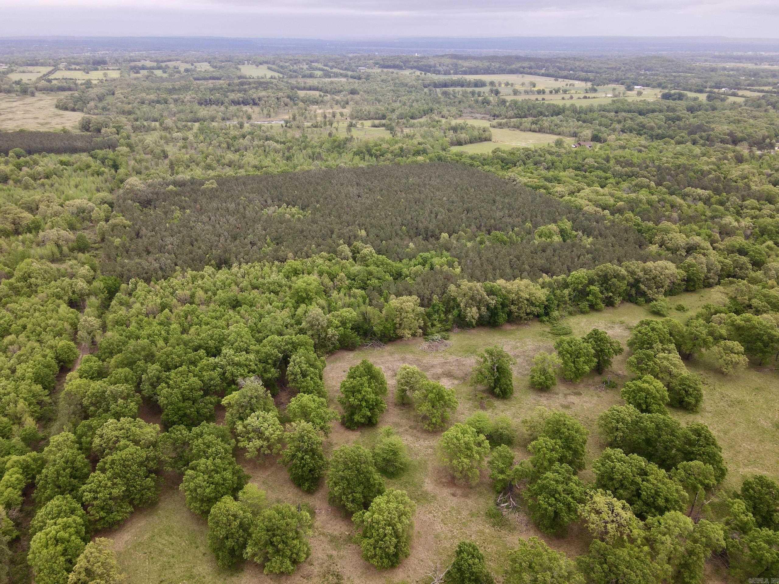 003 Drag Strip Road Property Photo 42