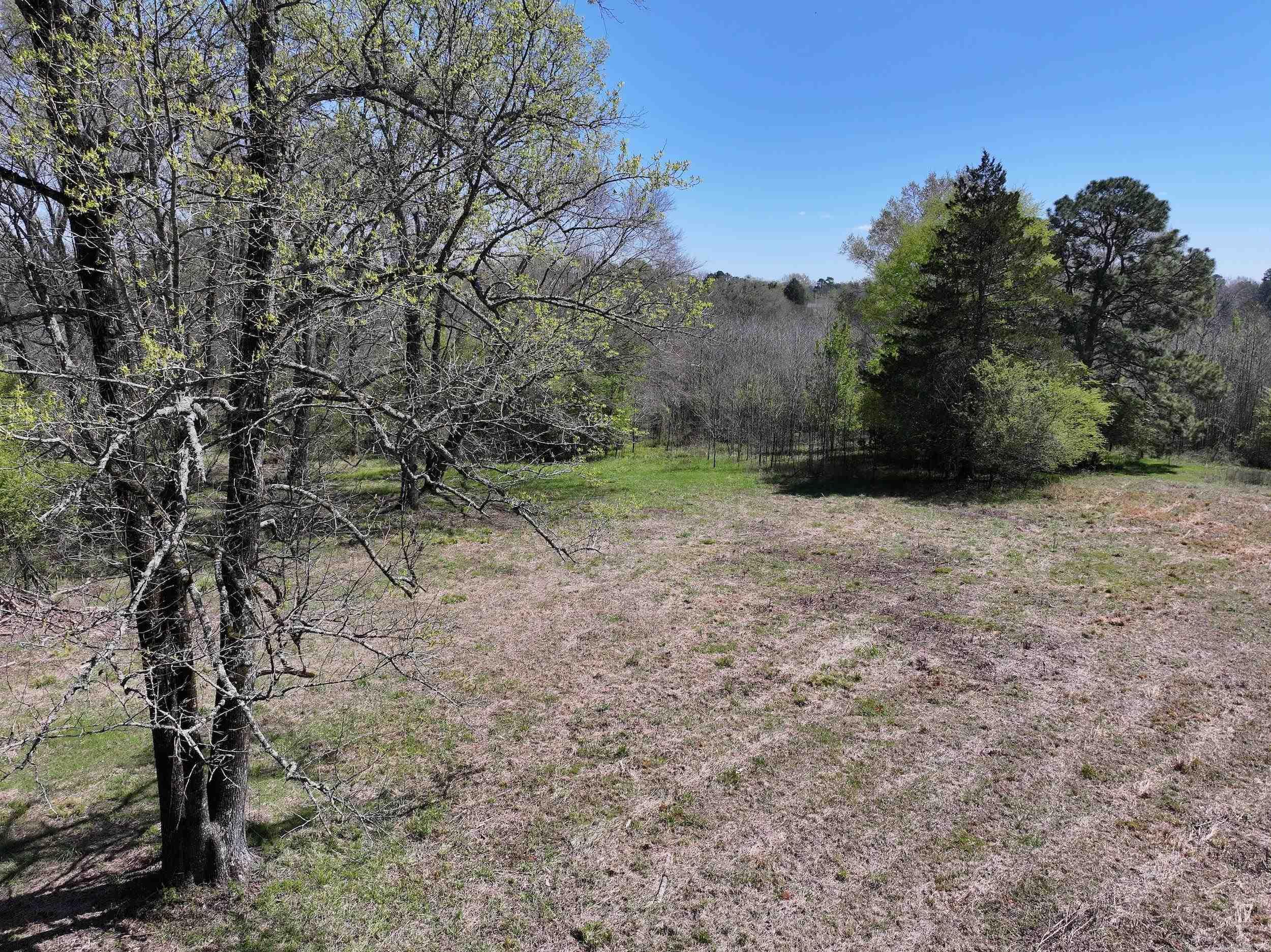 Tbd Bean Drive Property Photo 3