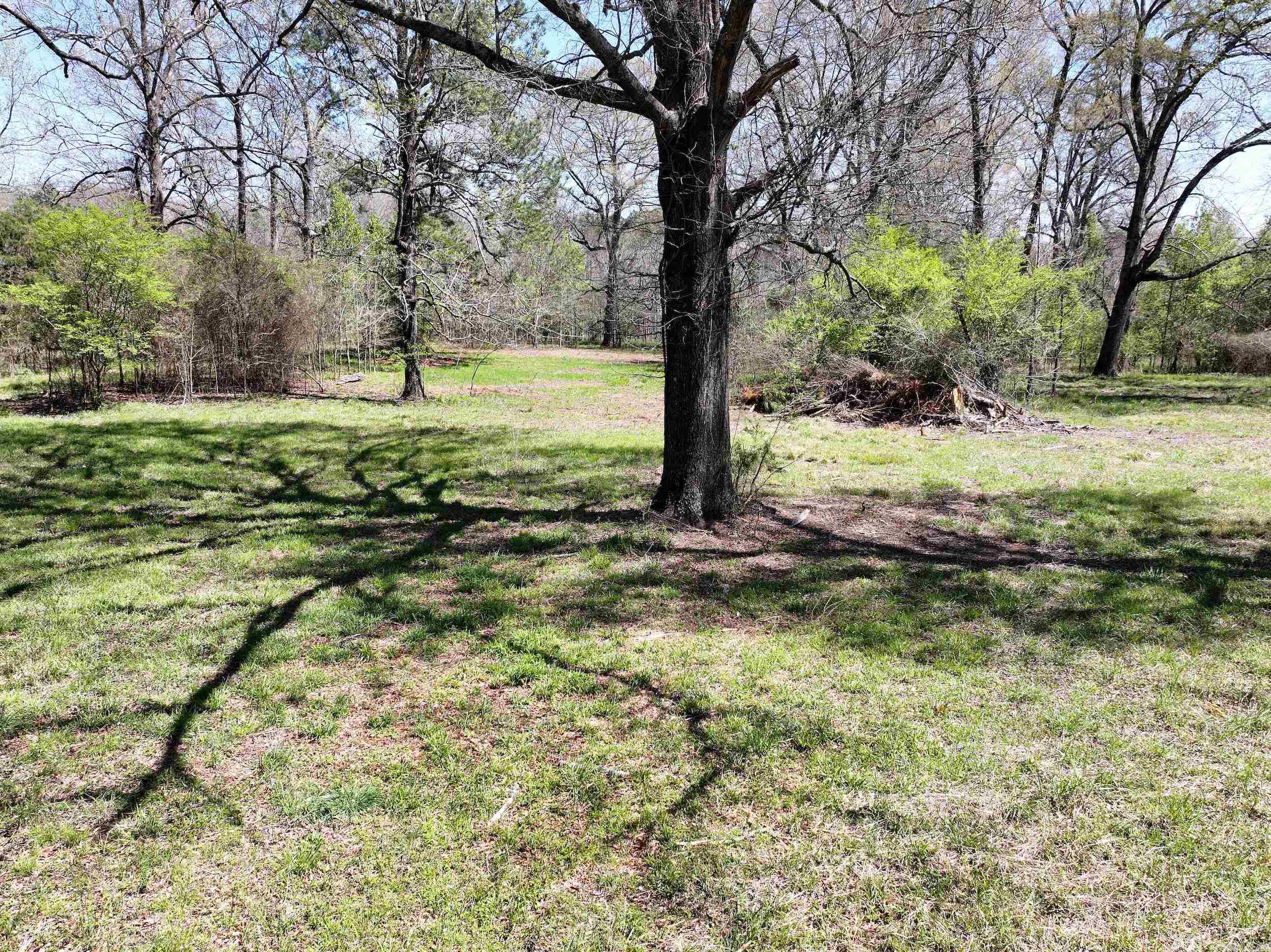 Tbd Bean Drive Property Photo 4