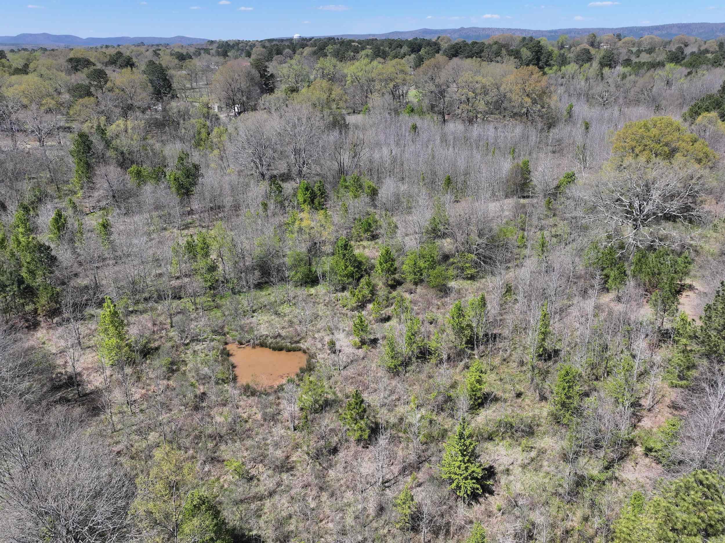 Tbd Bean Drive Property Photo 6