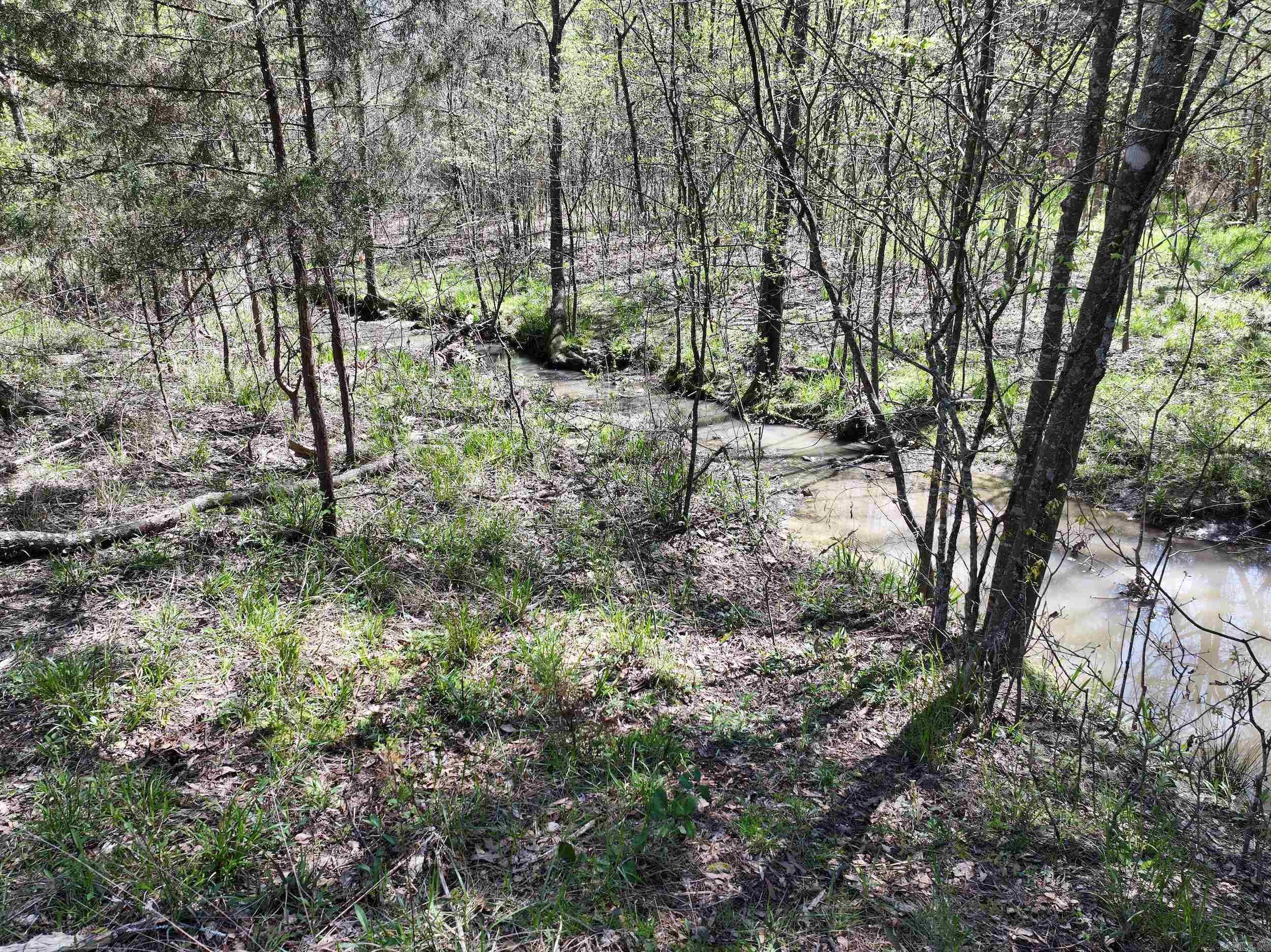 Tbd Bean Drive Property Photo 12