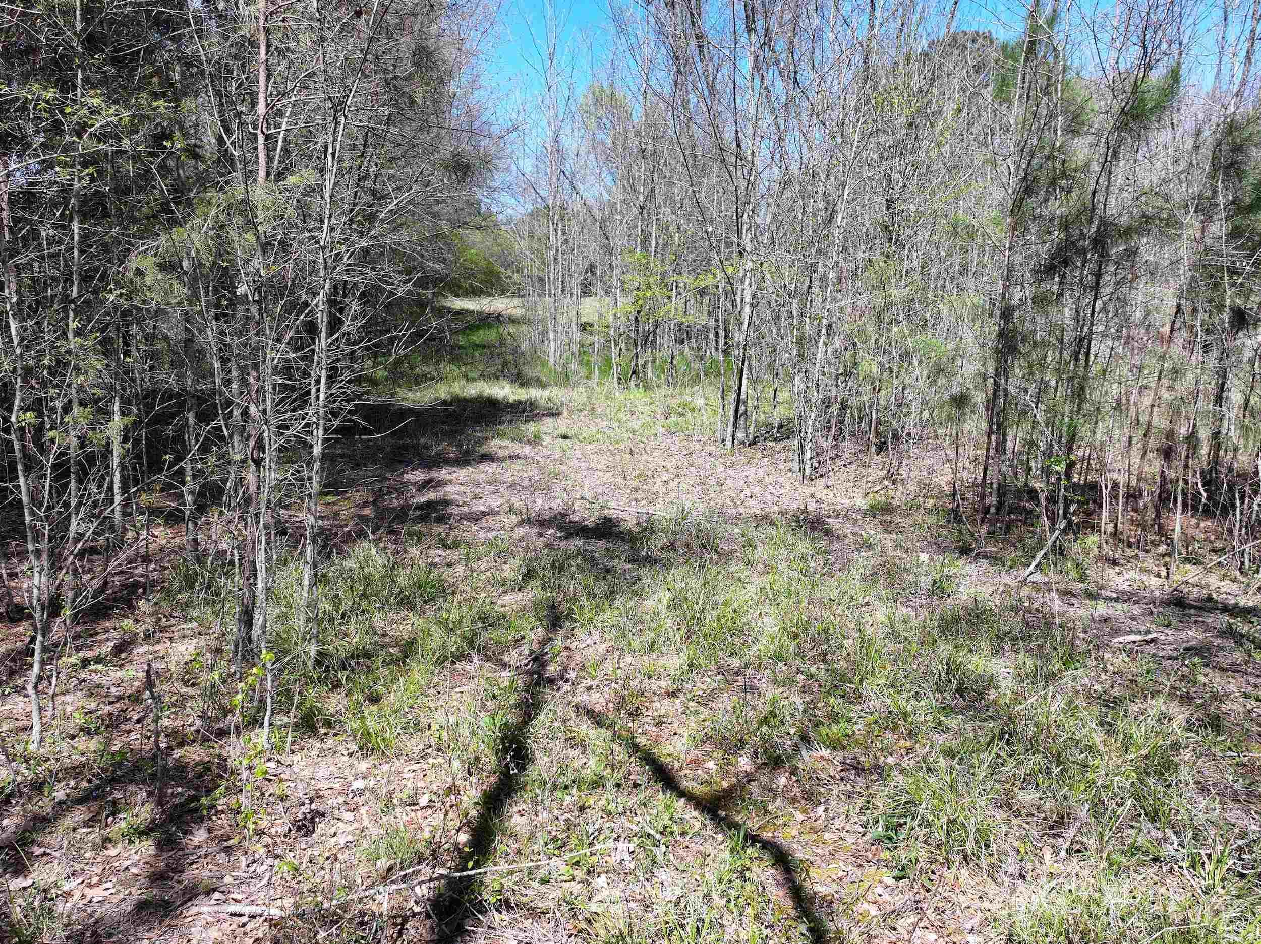 Tbd Bean Drive Property Photo 13