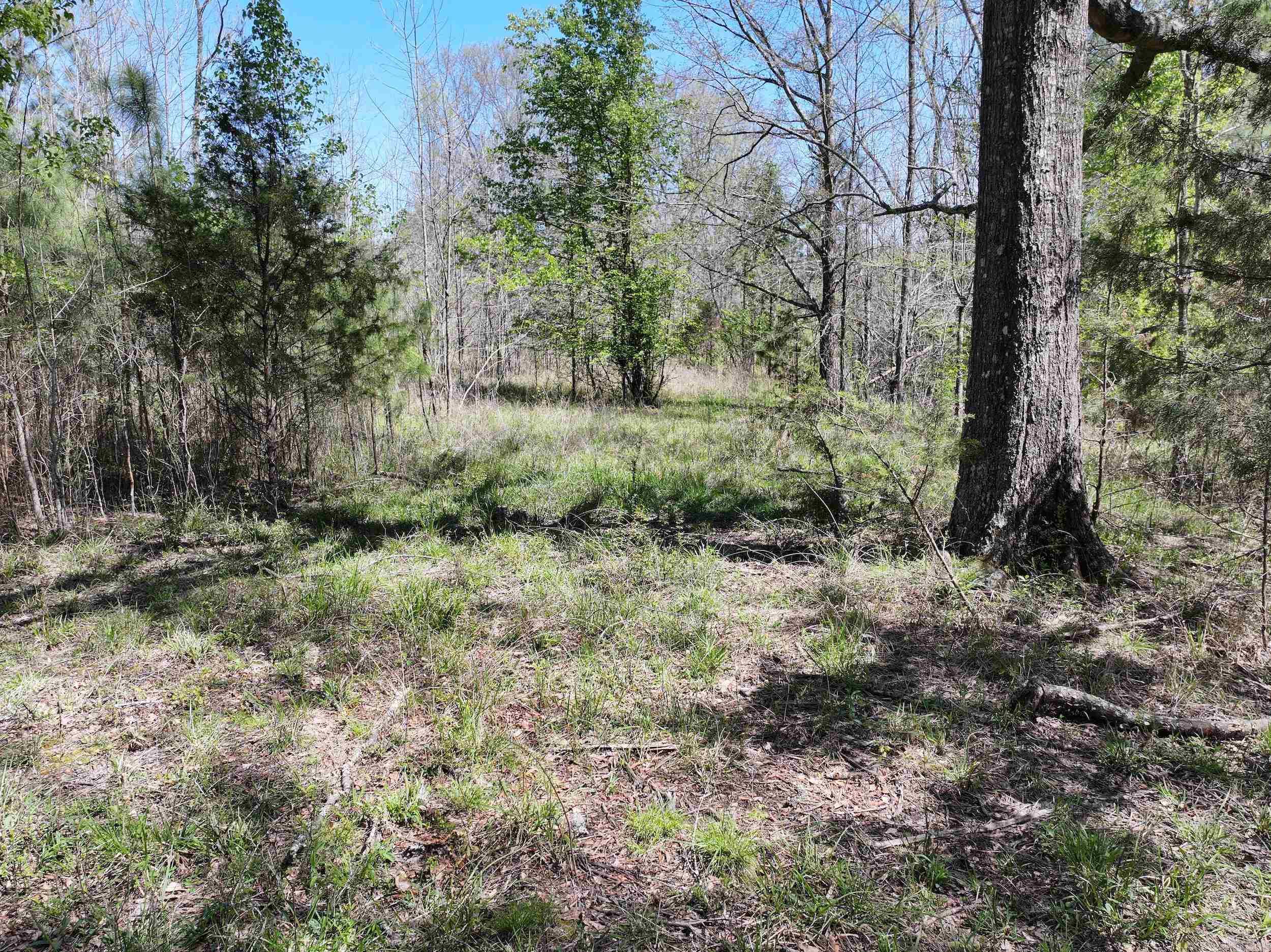 Tbd Bean Drive Property Photo 14