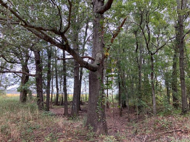 Tbd Cox Rd. Property Photo 3