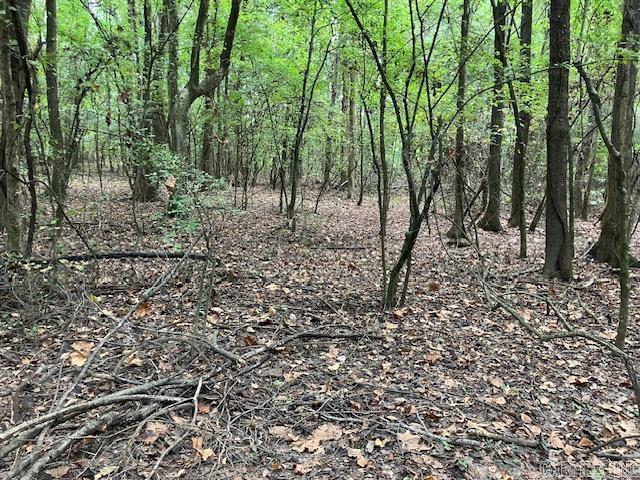 Tbd Cox Rd. Property Photo 6