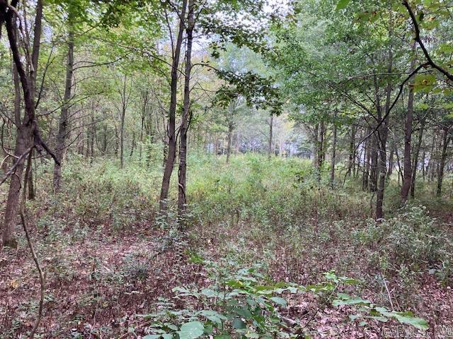 Tbd Cox Rd. Property Photo 7