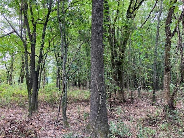 Tbd Cox Rd. Property Photo 8