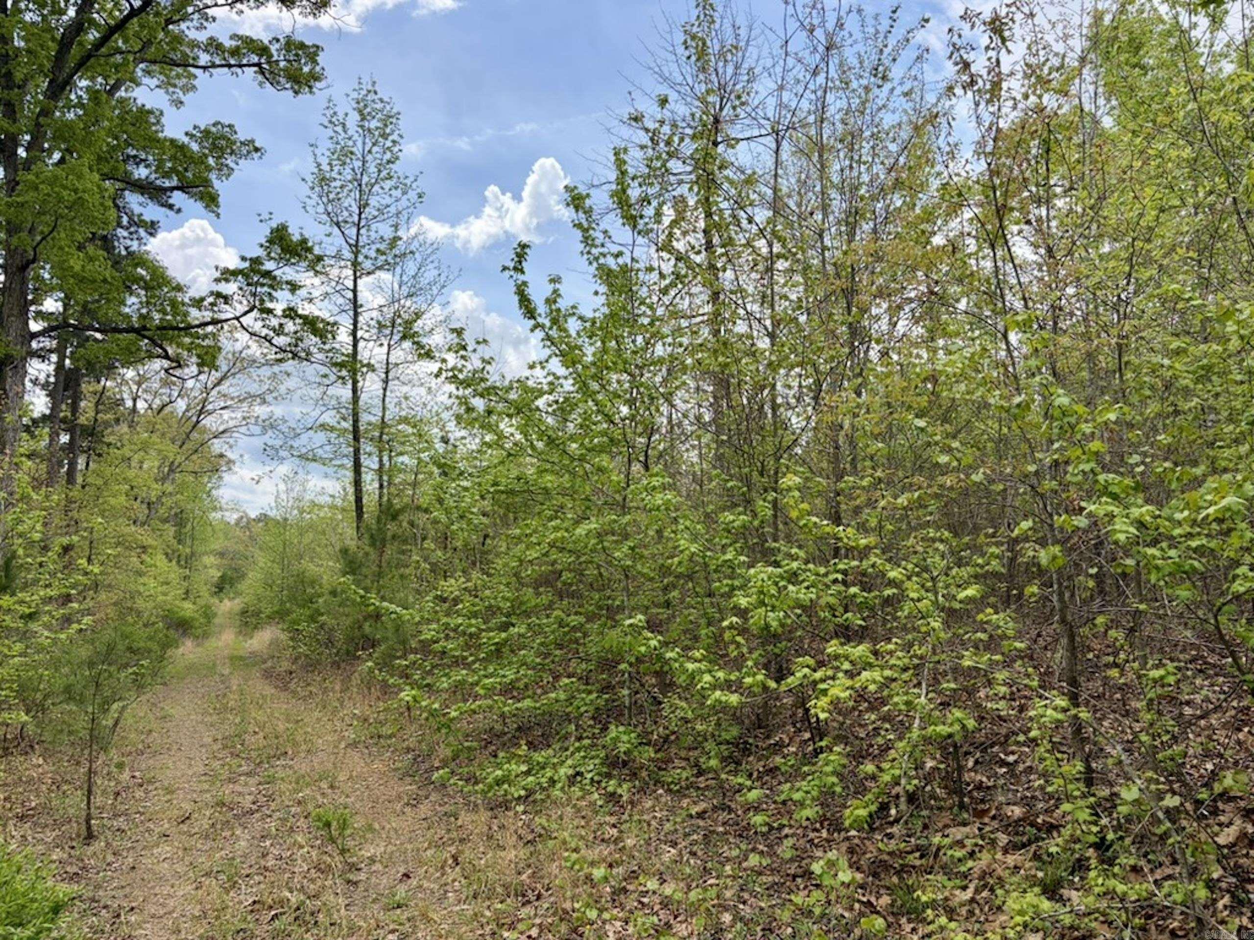 000 Rex Road Property Photo 35