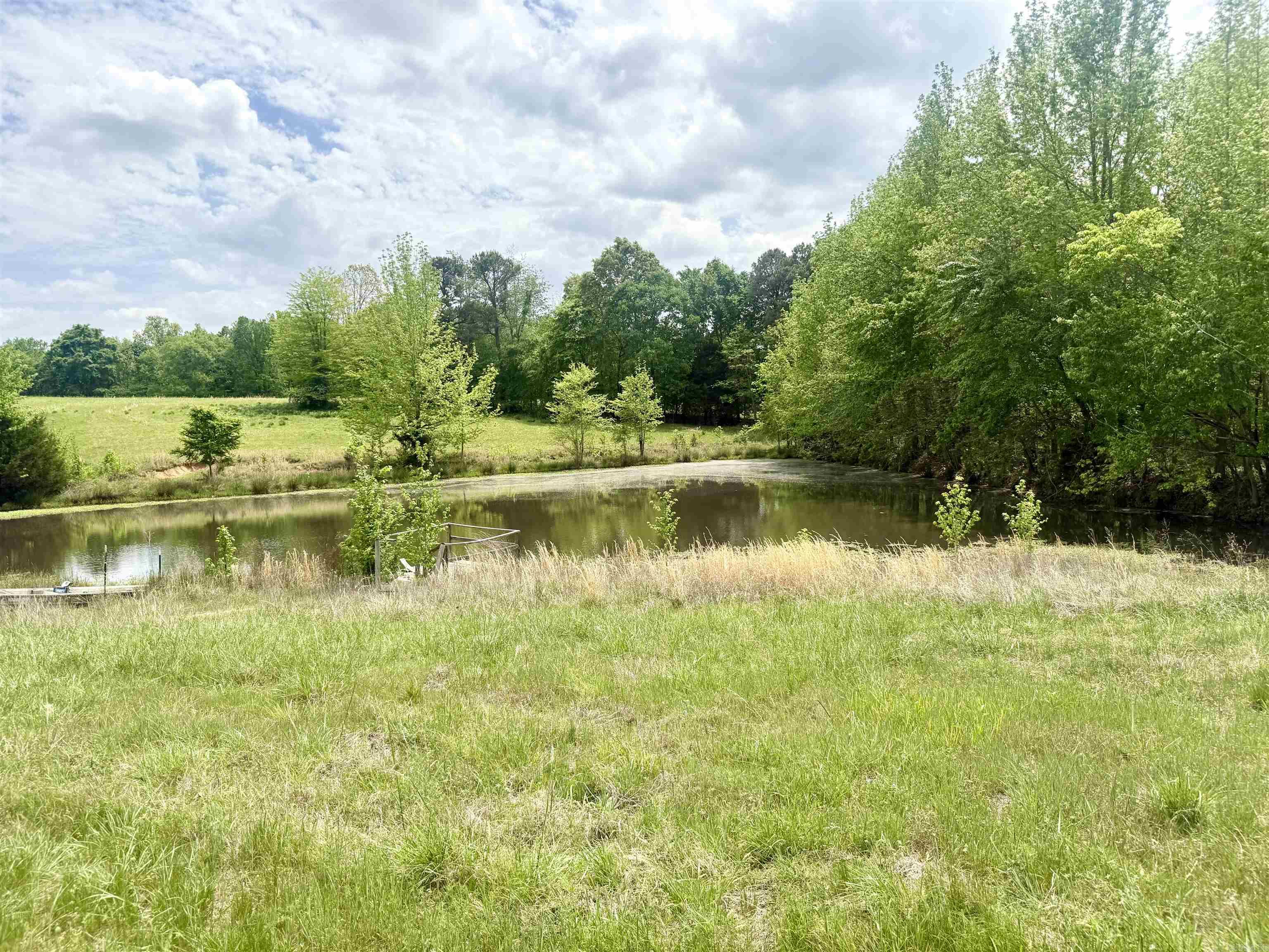 73.22 Acres Greene 620 Road Property Photo 1