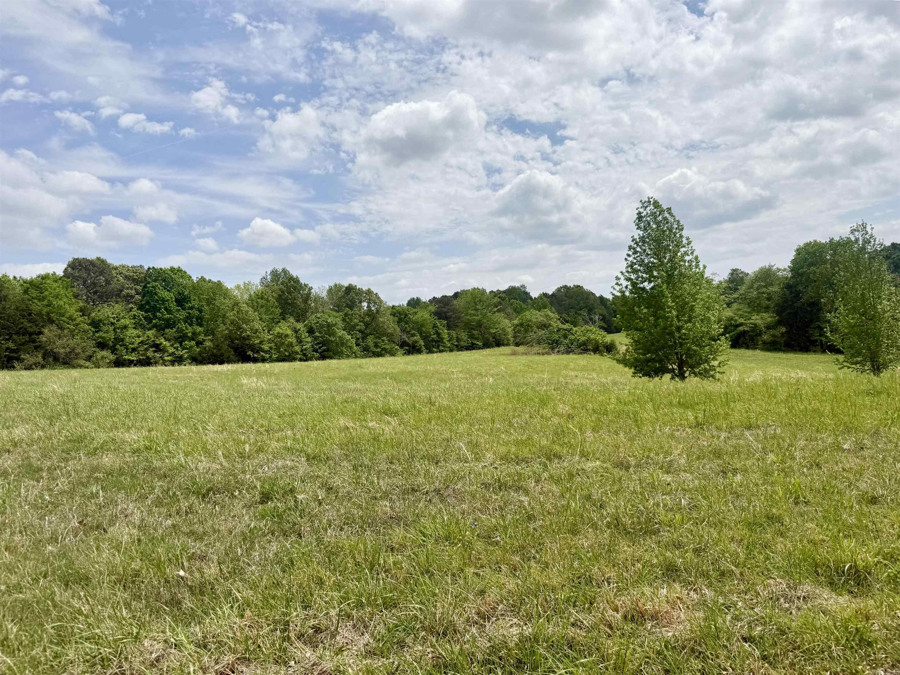 73.22 Acres Greene 620 Road Property Photo 2