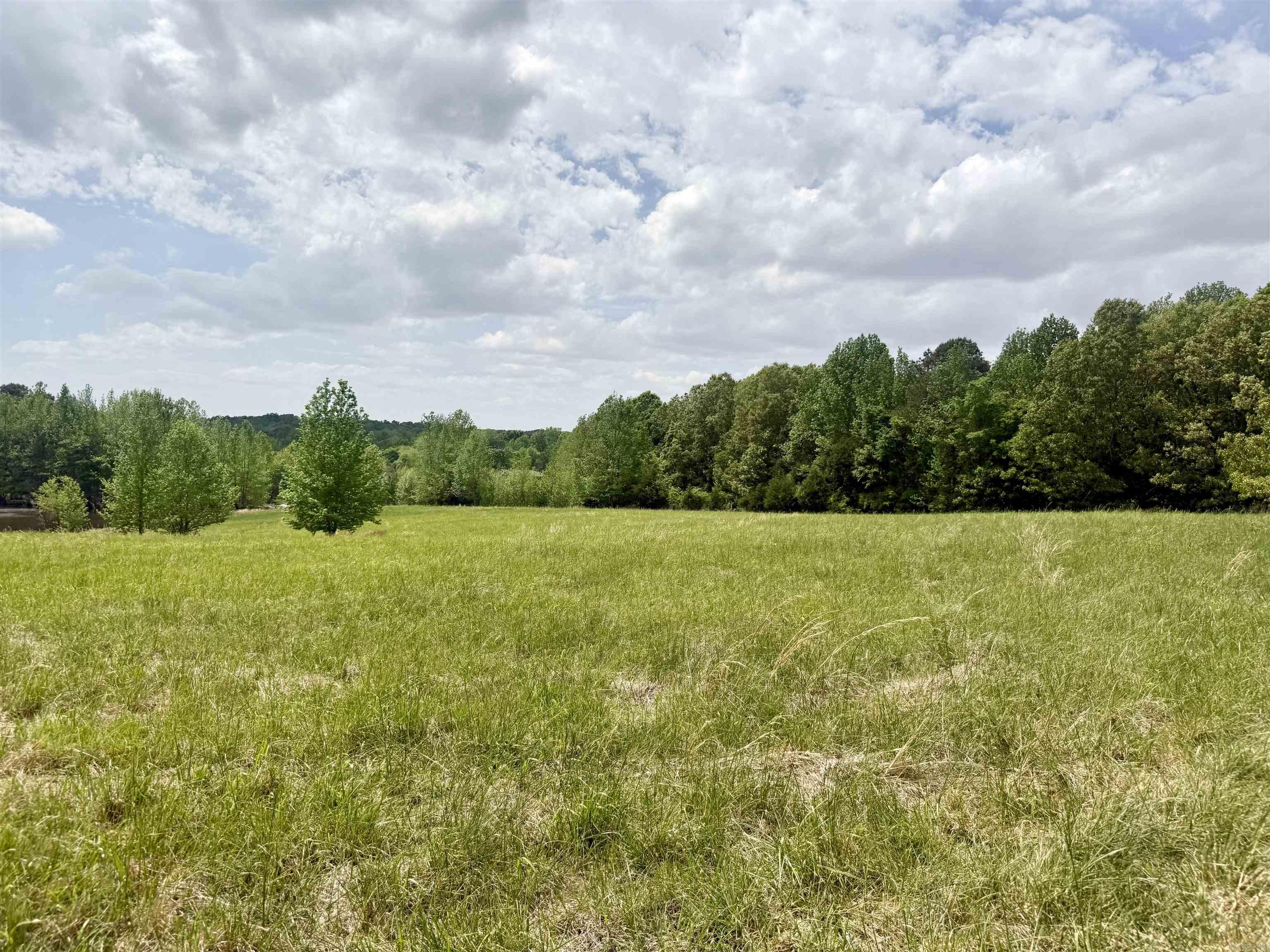 73.22 Acres Greene 620 Road Property Photo 3