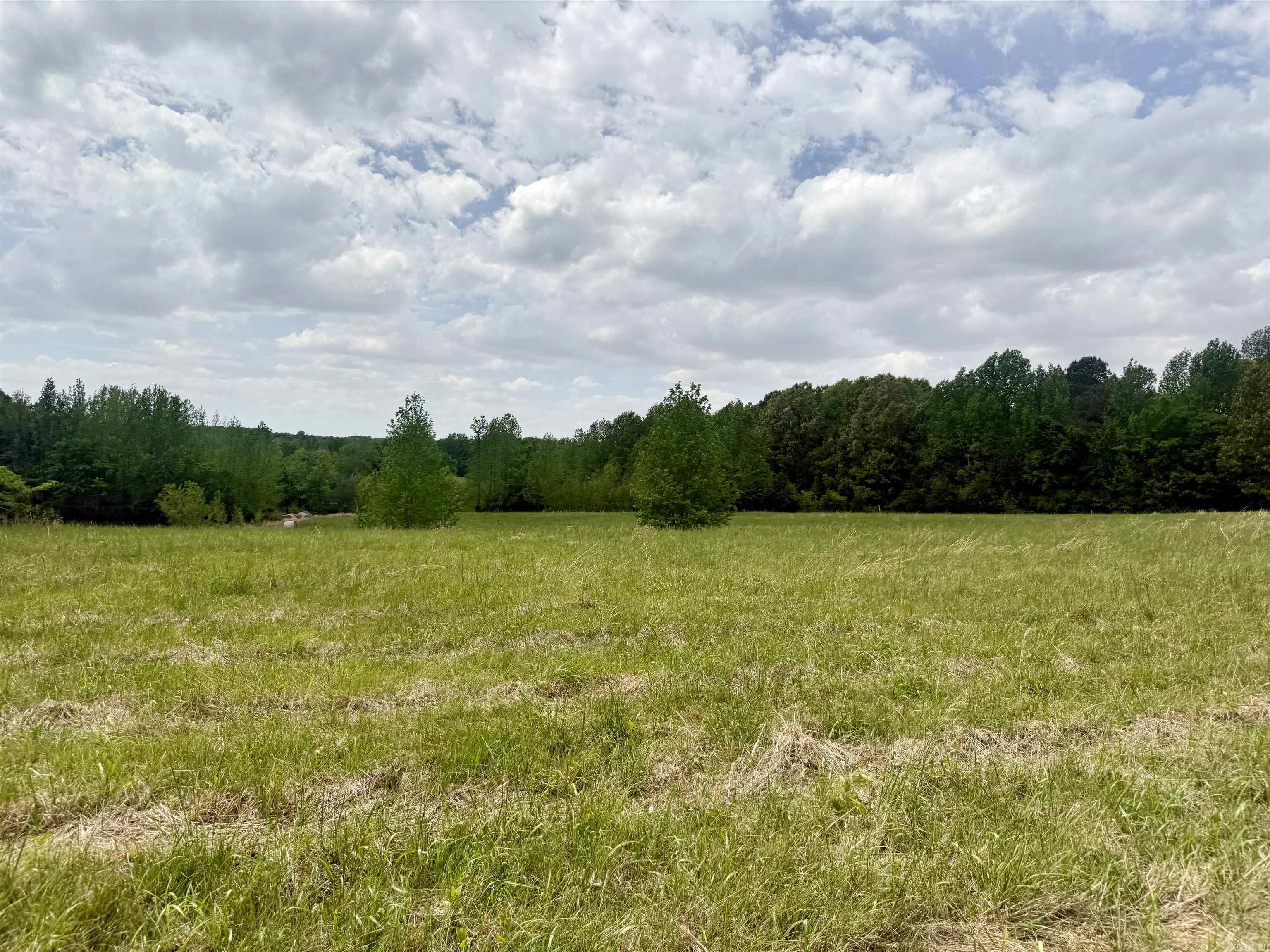 73.22 Acres Greene 620 Road Property Photo 4