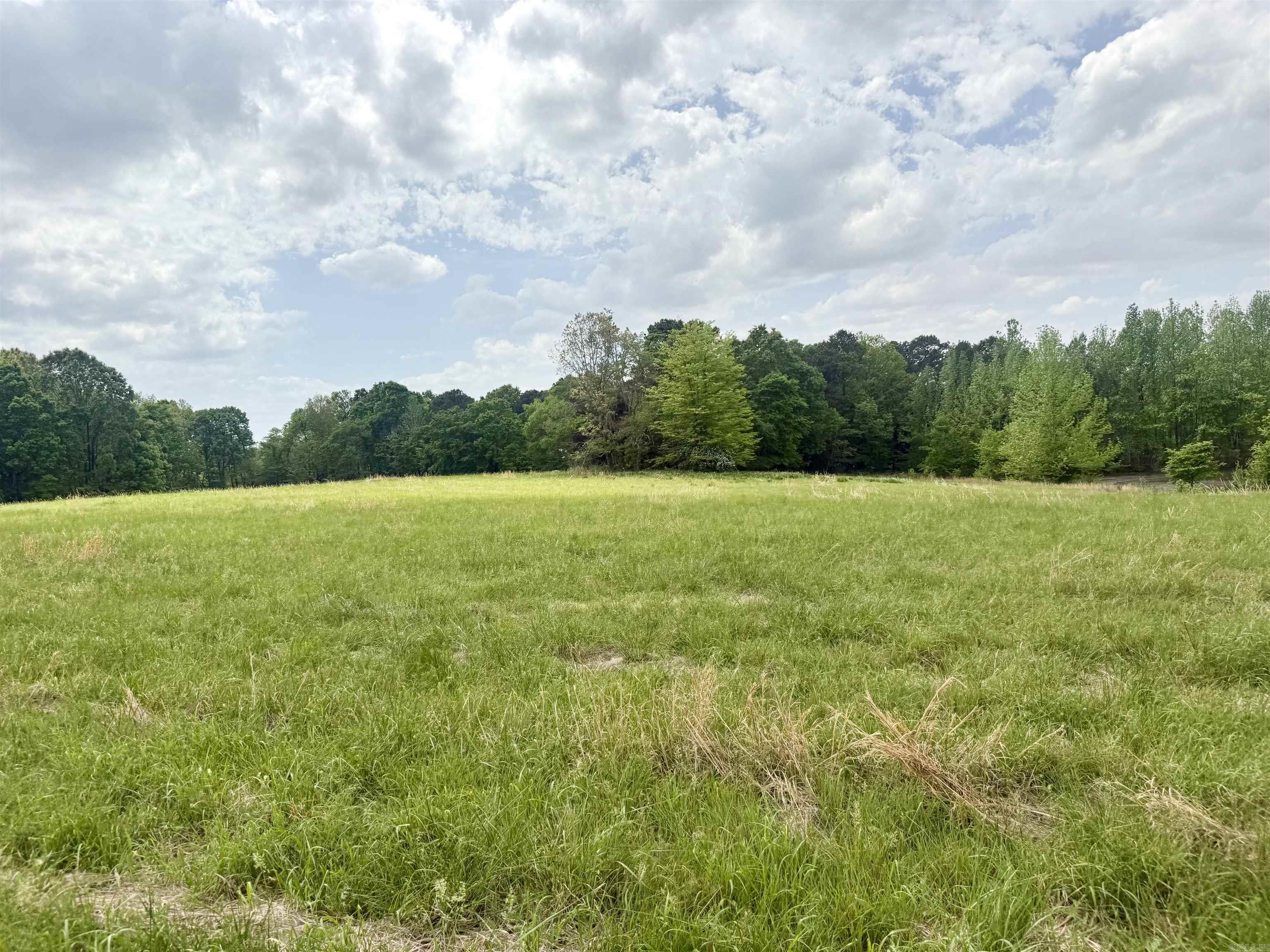 73.22 Acres Greene 620 Road Property Photo 5