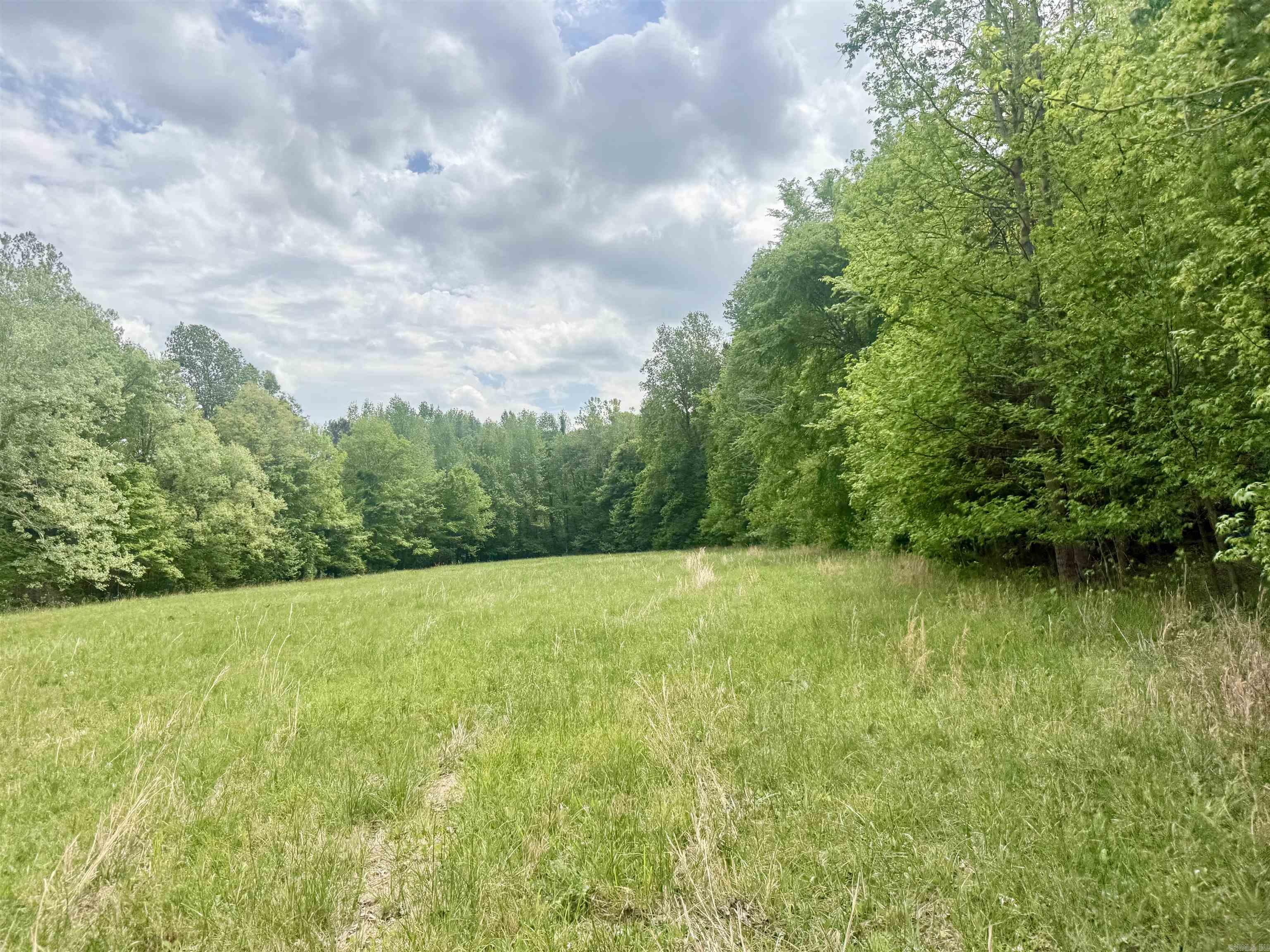 73.22 Acres Greene 620 Road Property Photo 9