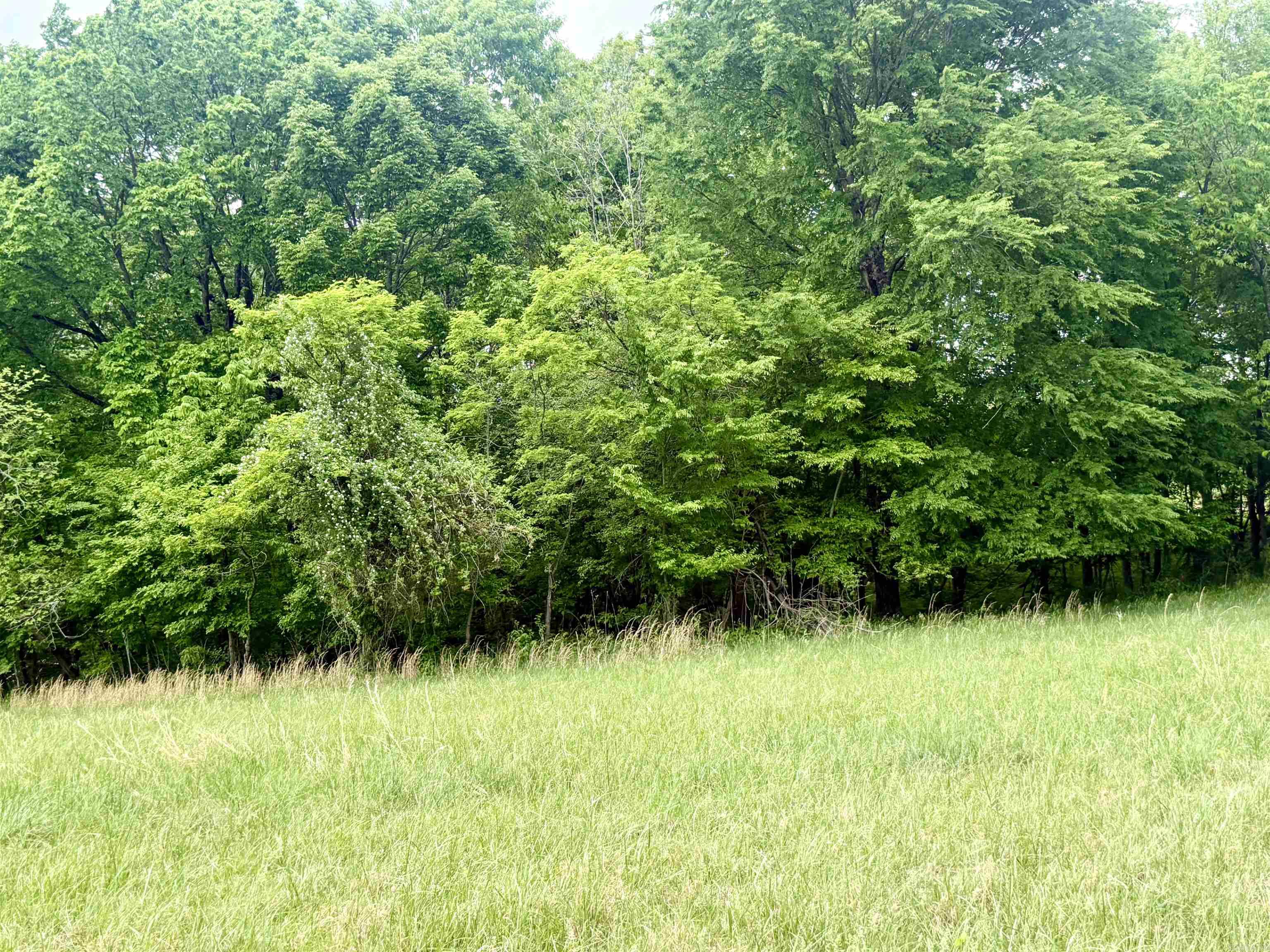 73.22 Acres Greene 620 Road Property Photo 10