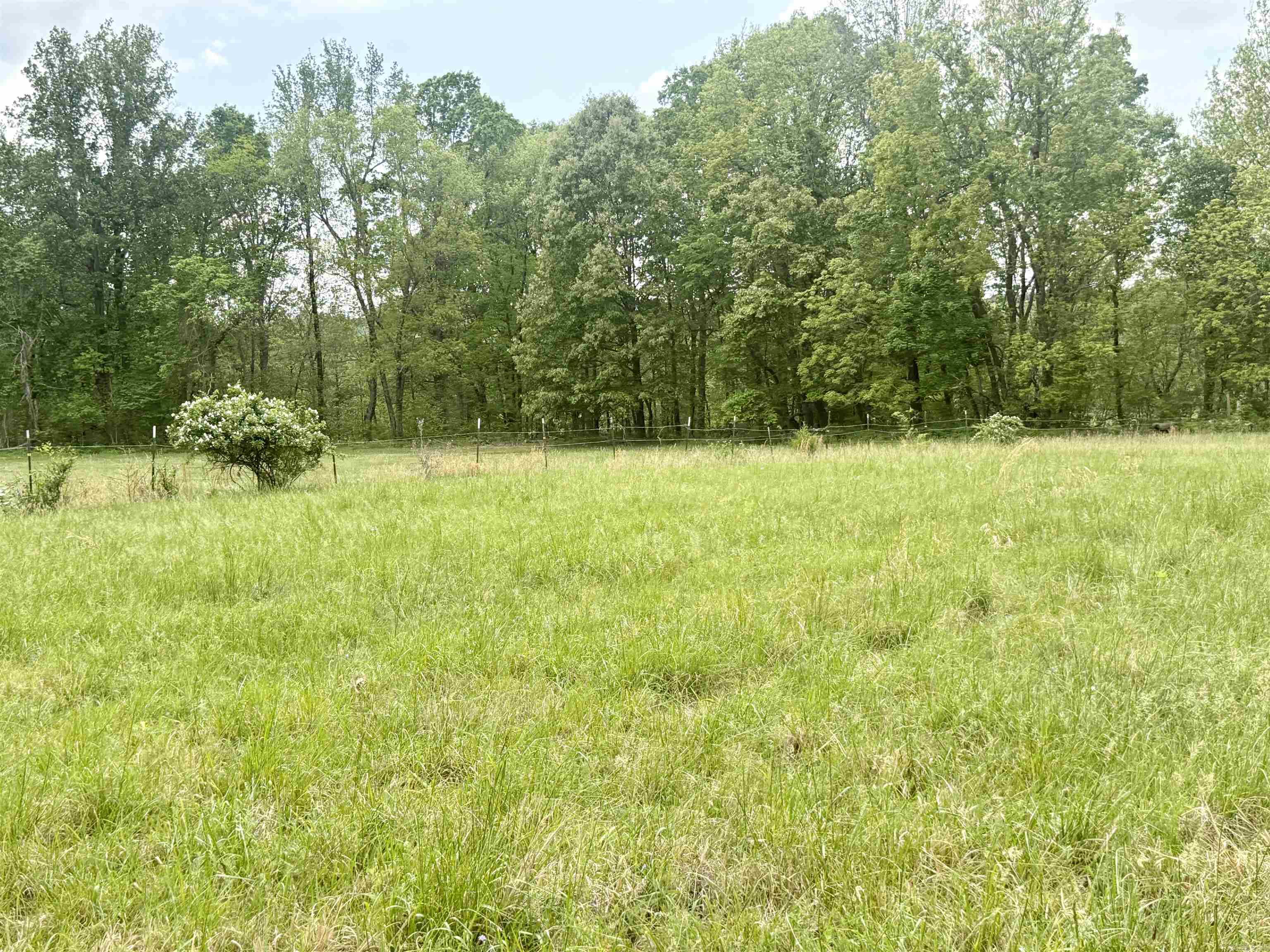 73.22 Acres Greene 620 Road Property Photo 11