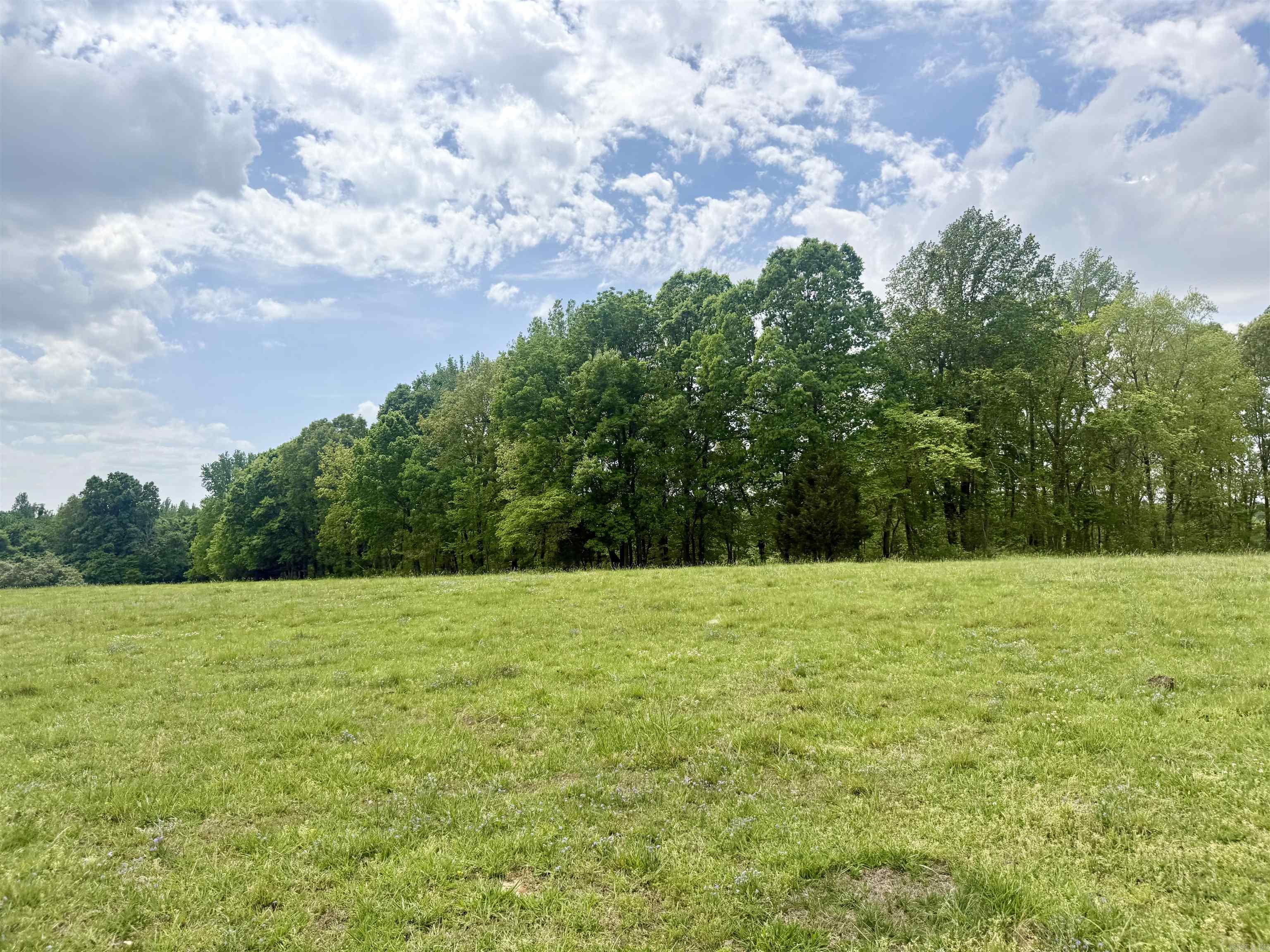 73.22 Acres Greene 620 Road Property Photo 12