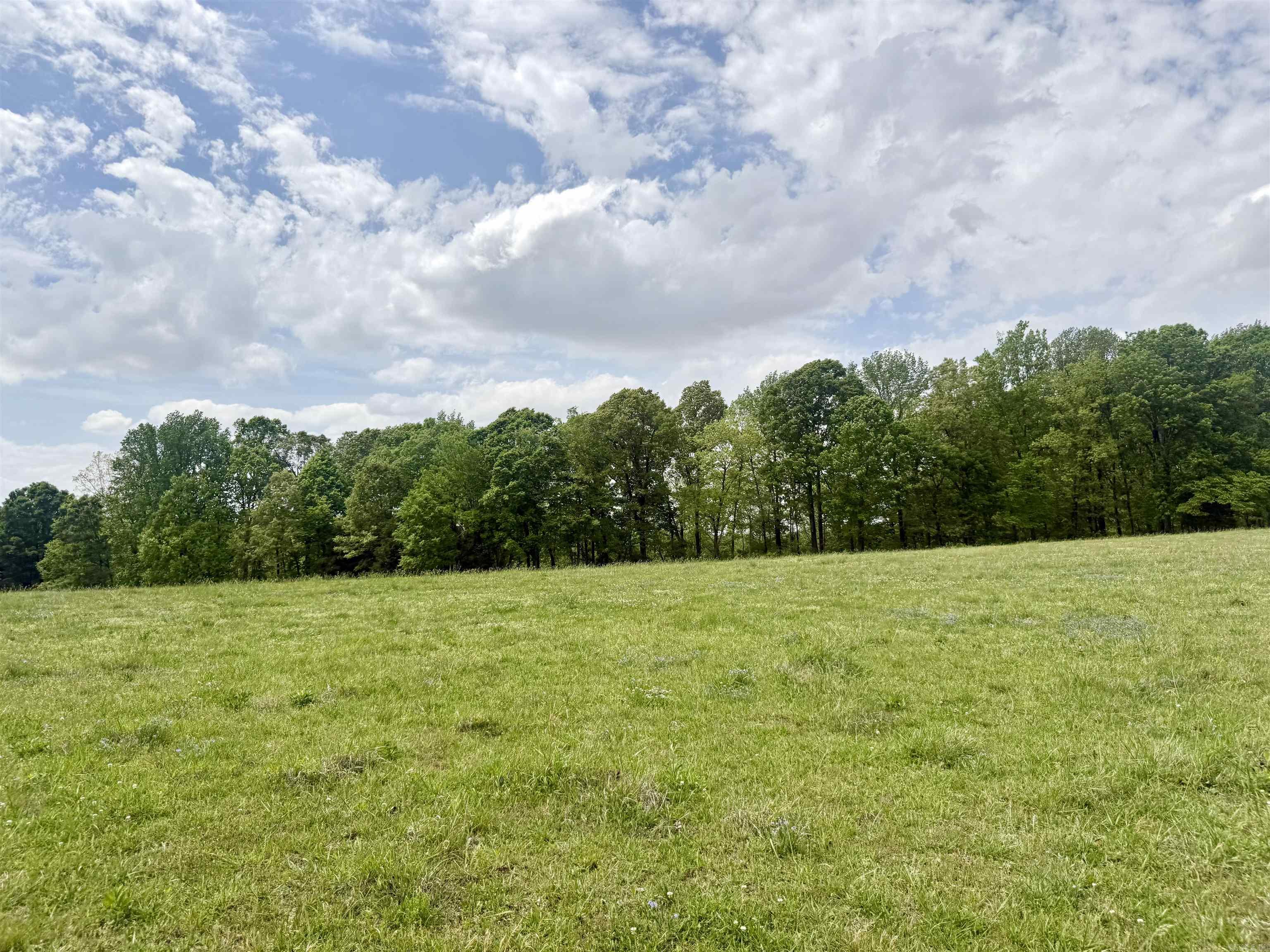 73.22 Acres Greene 620 Road Property Photo 13