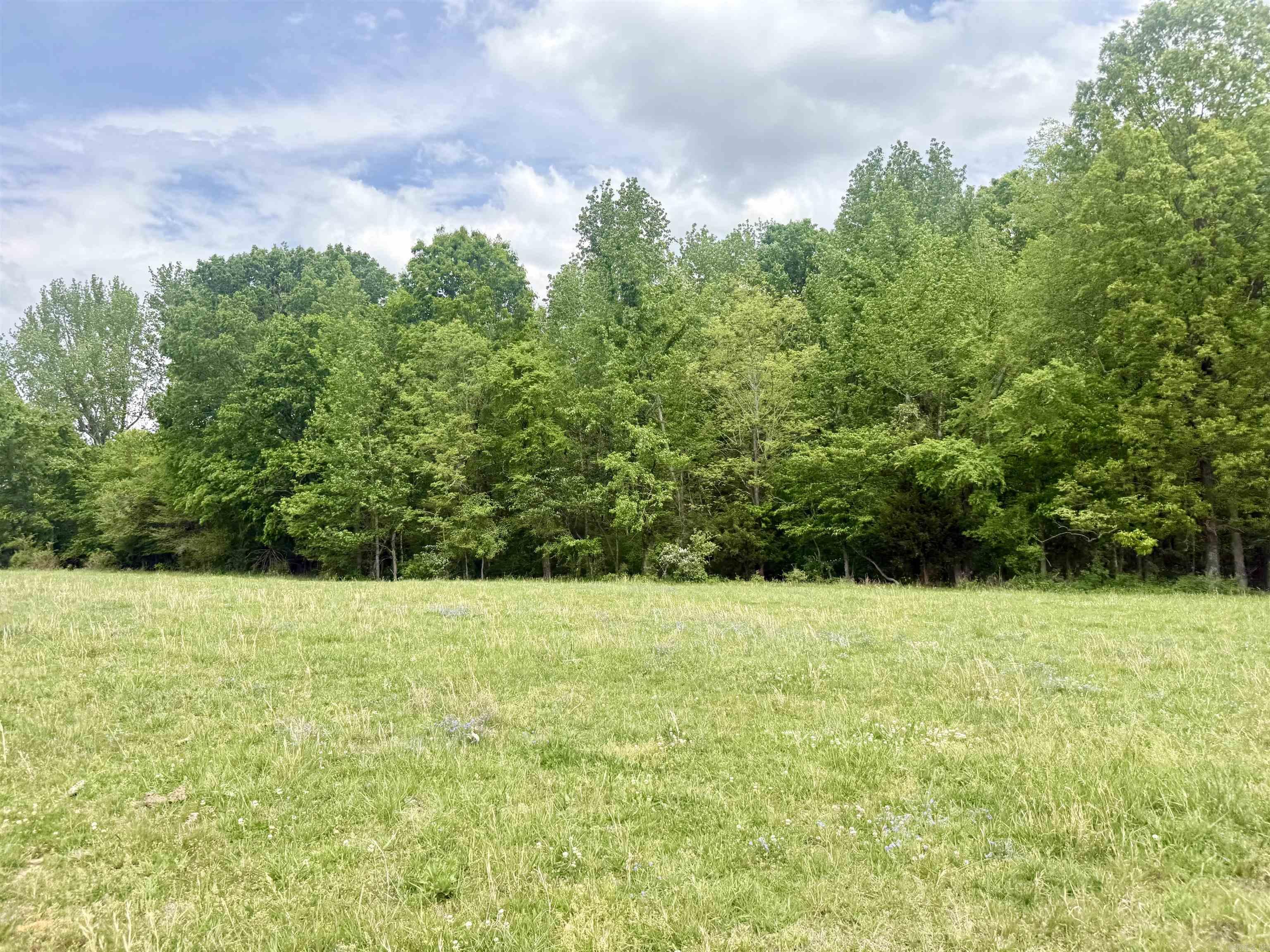 73.22 Acres Greene 620 Road Property Photo 14
