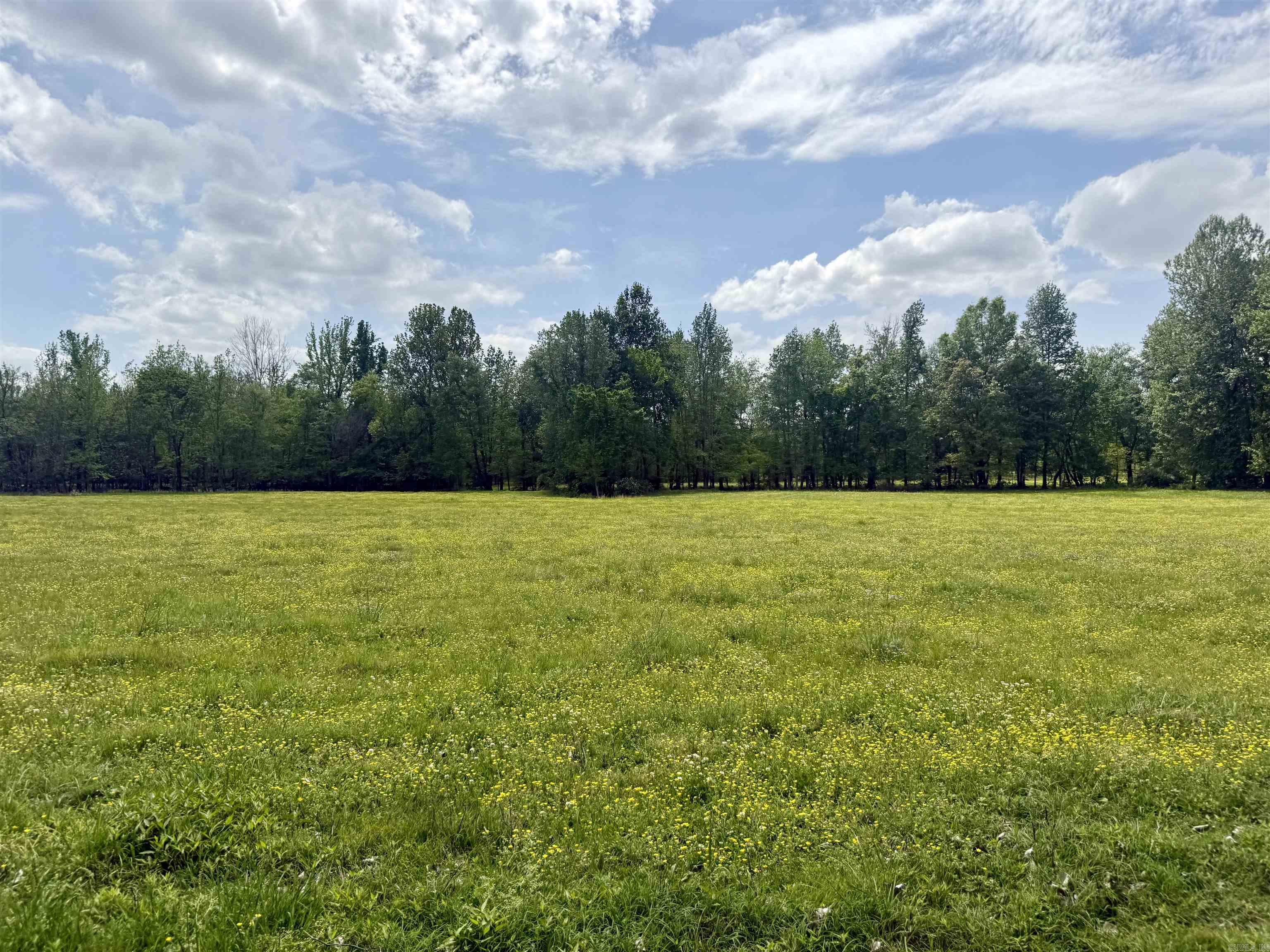 73.22 Acres Greene 620 Road Property Photo 15